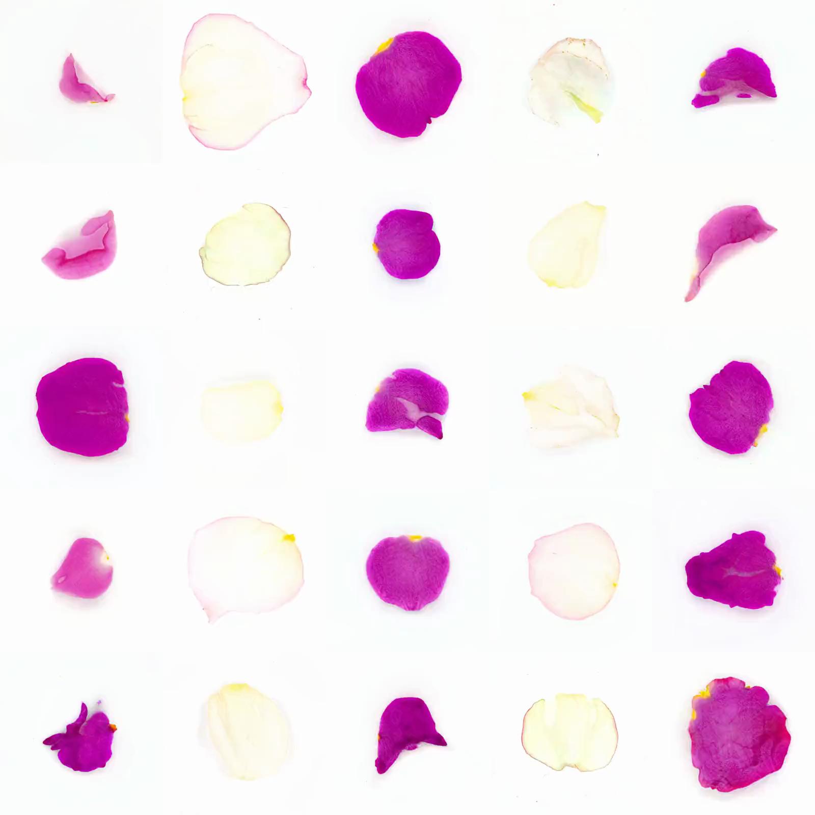 Infinite Petals 5x5#229