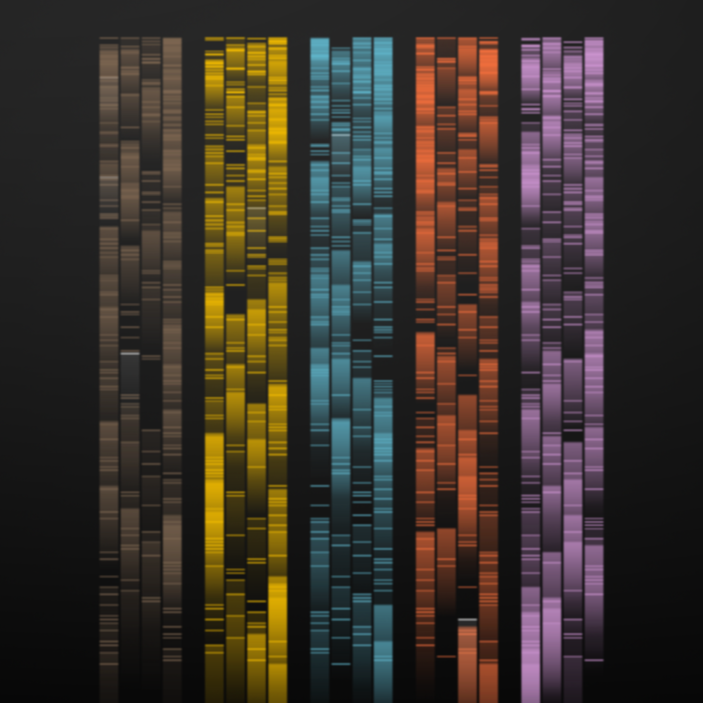 Gels #19