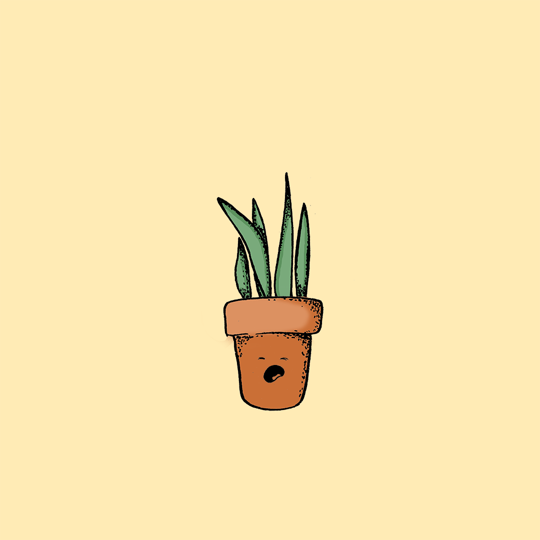 {No.002} Sleepy Sam the Snake
