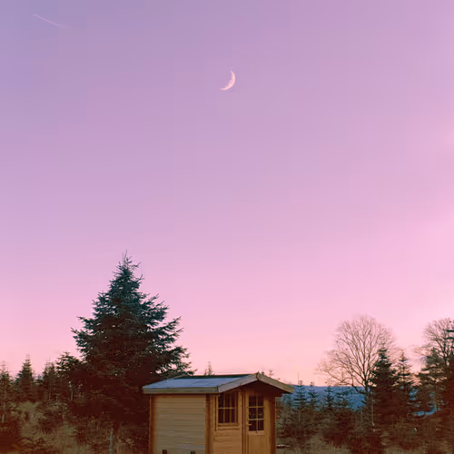 Into The Night