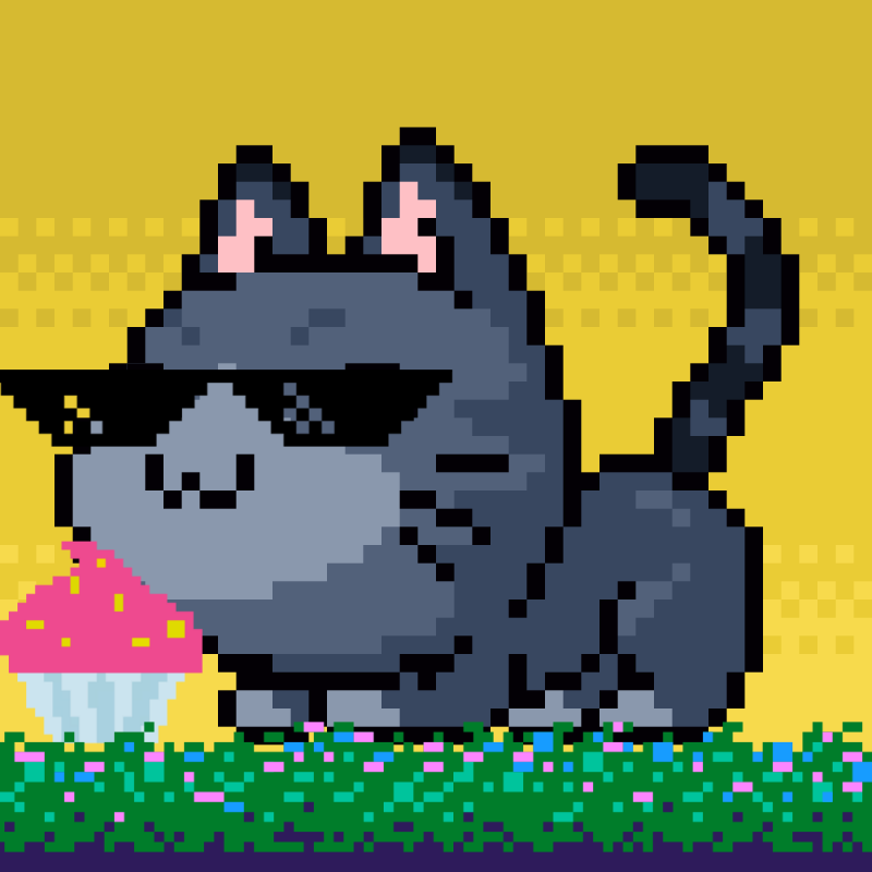 Catxoxo #2198