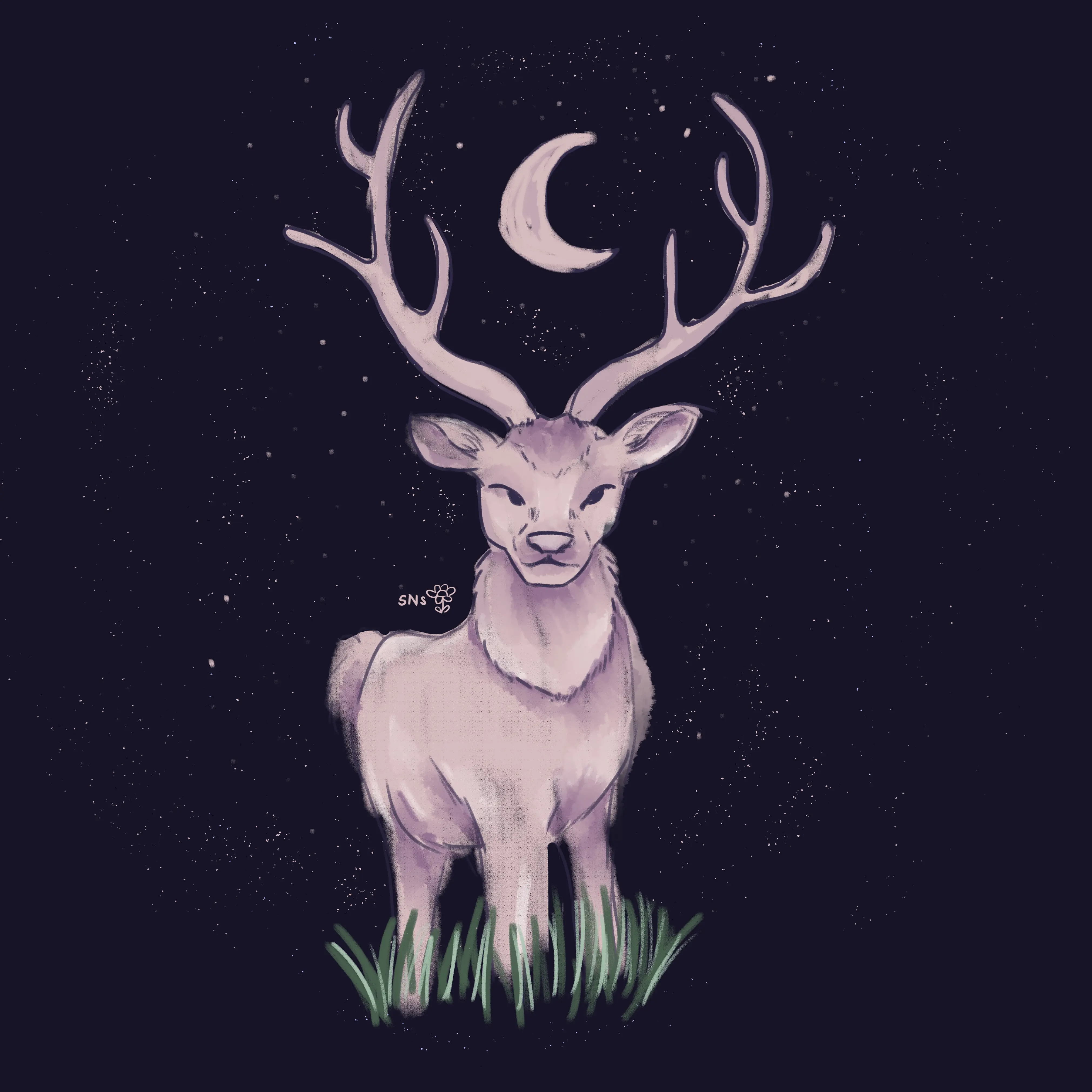 Raindeer