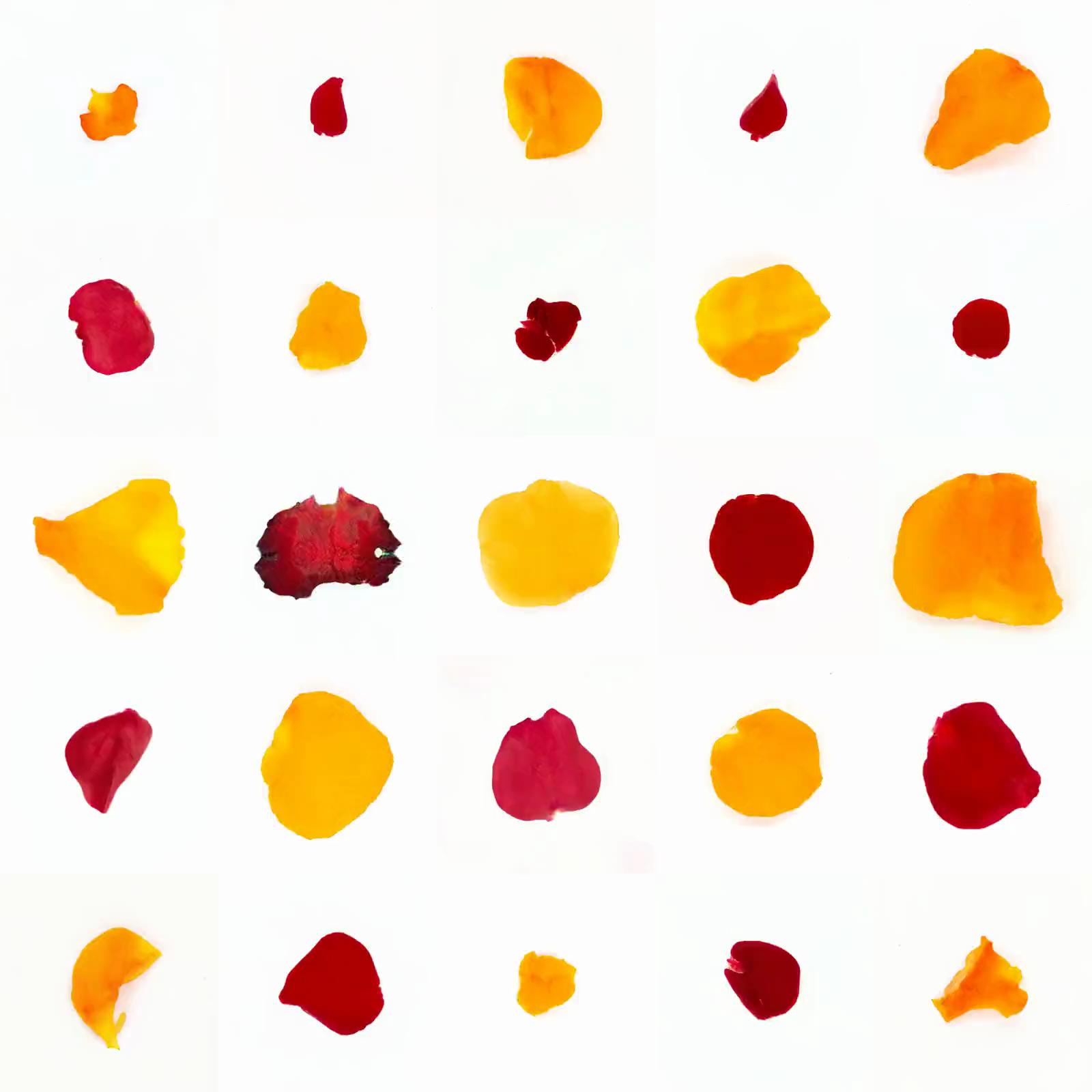 Infinite Petals 5x5#20534