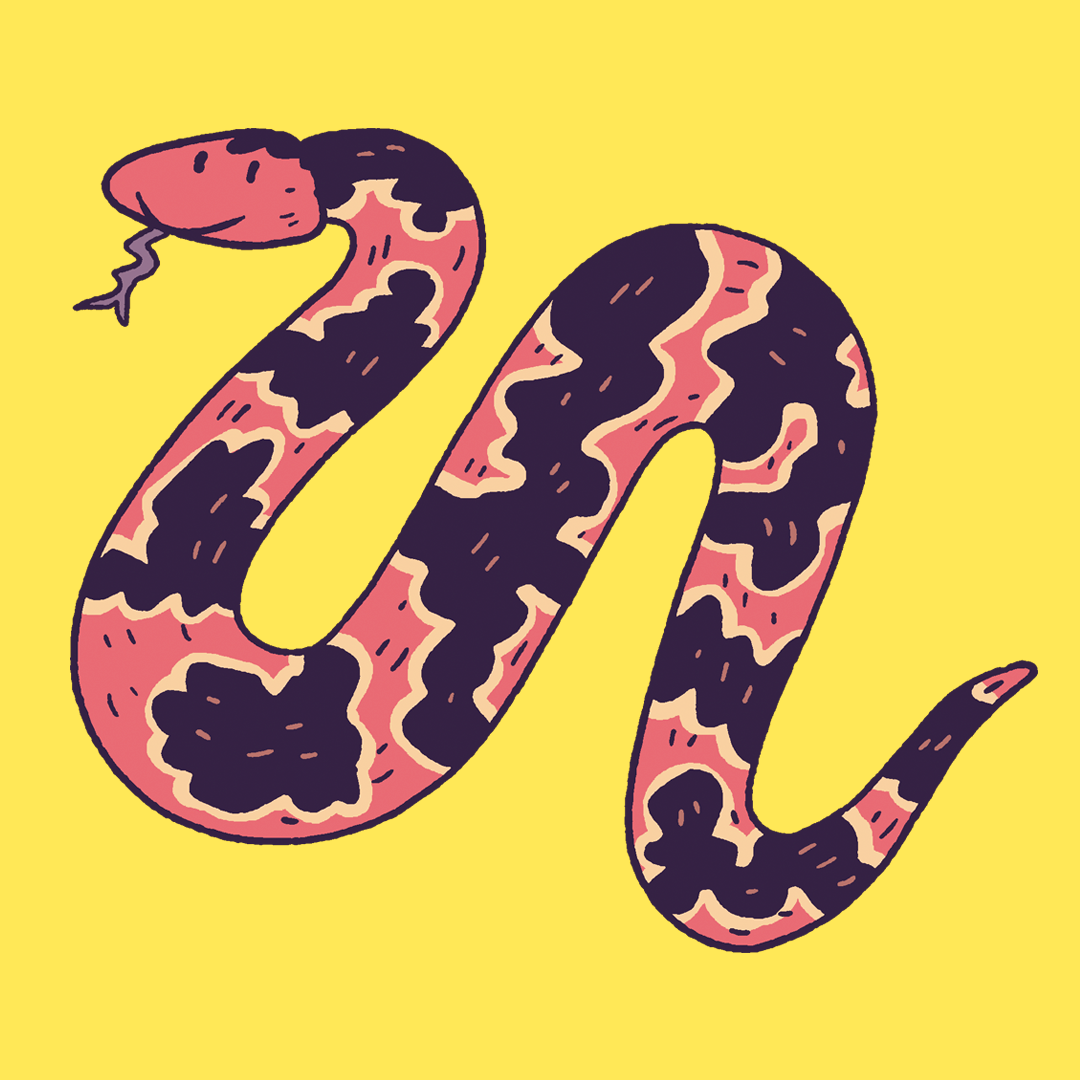 Banded Water Snake #1072