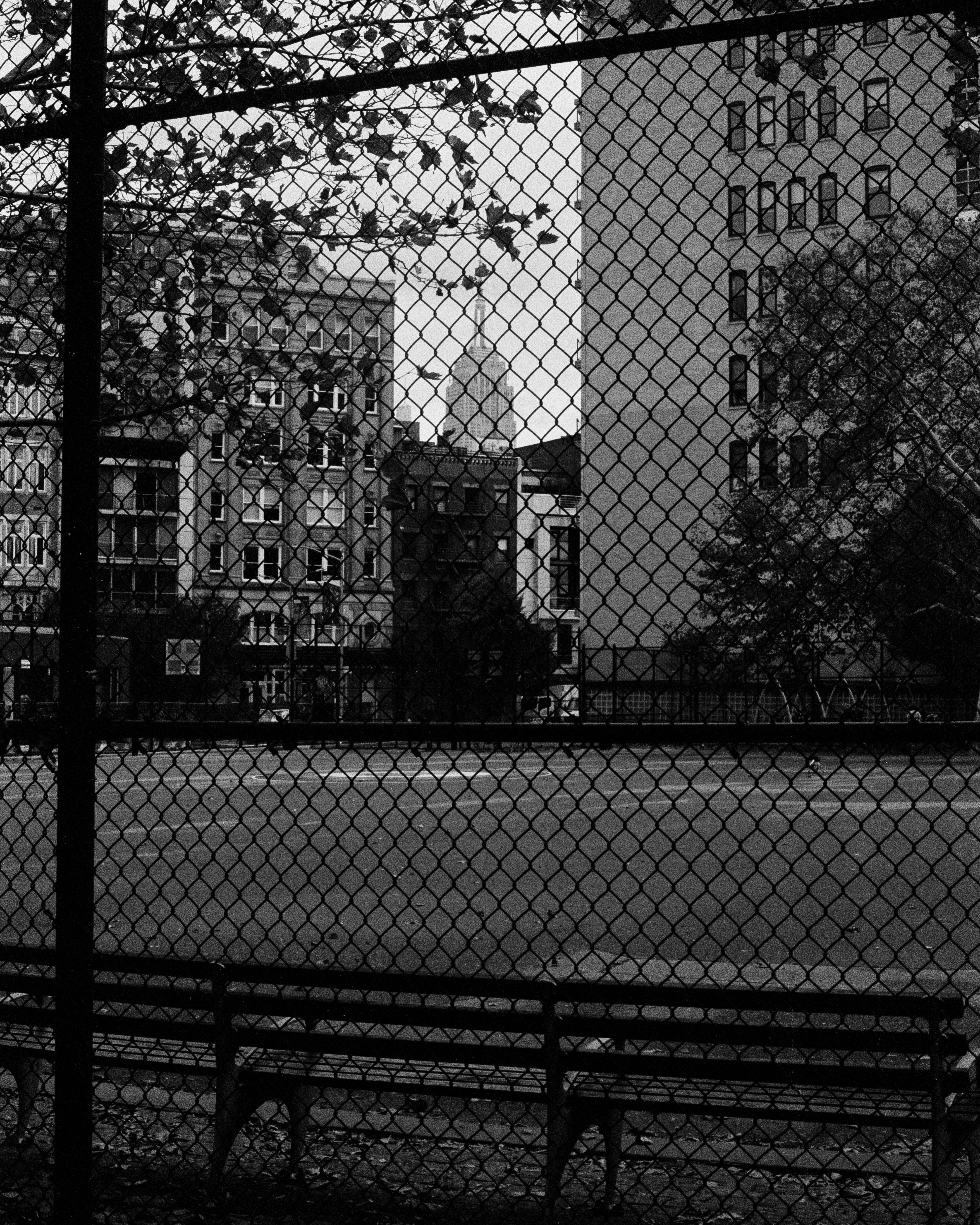 The American Dream 32