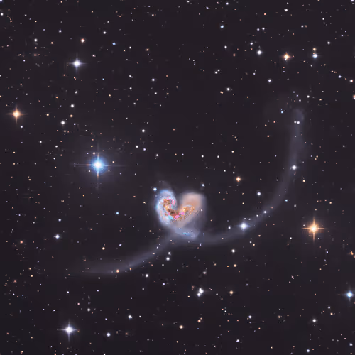 Dance of Love #3