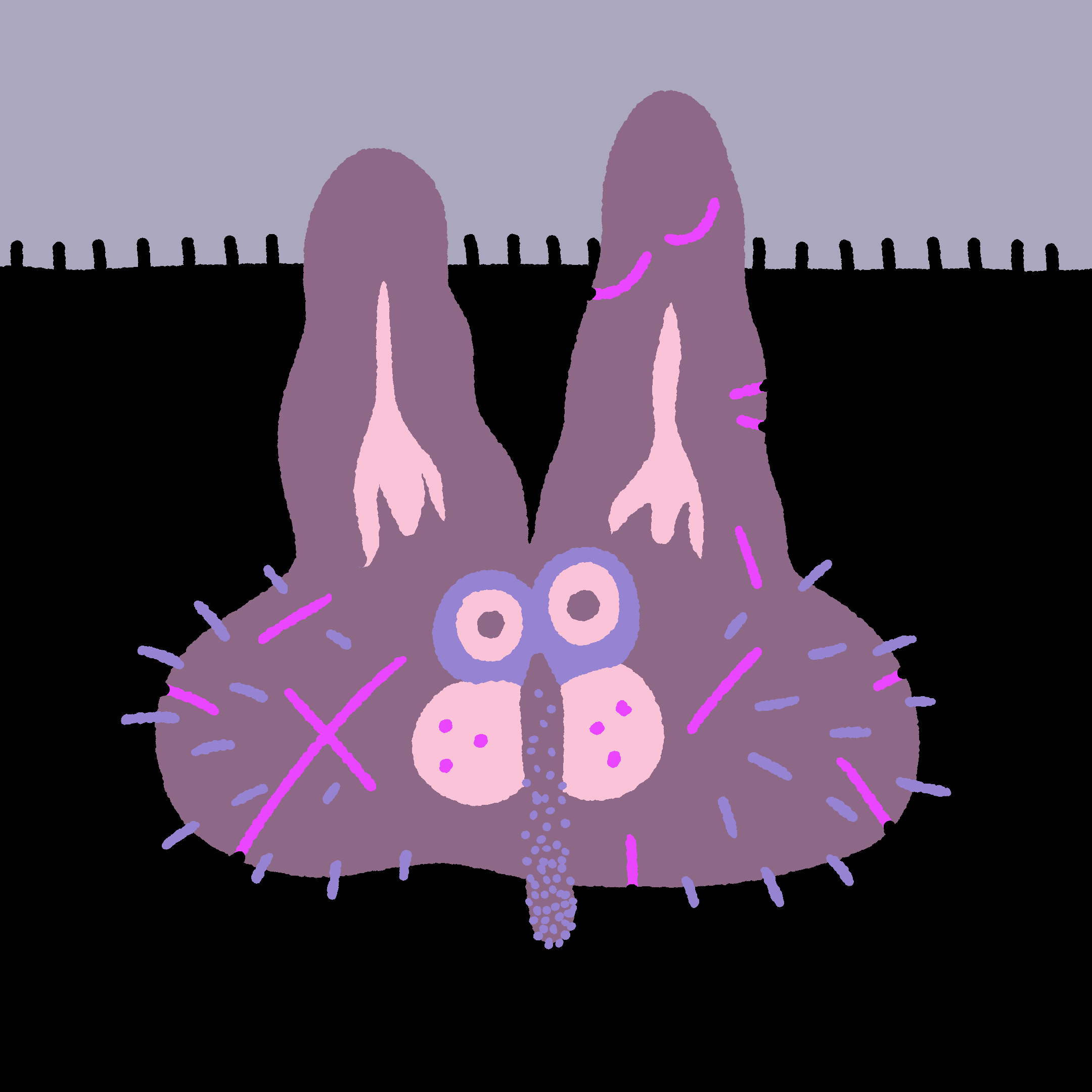 The Bunbun of a Great Many Lesions