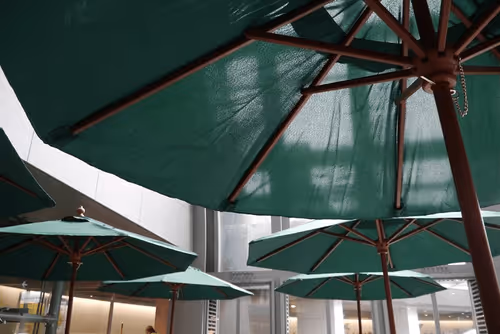 Umbrella
