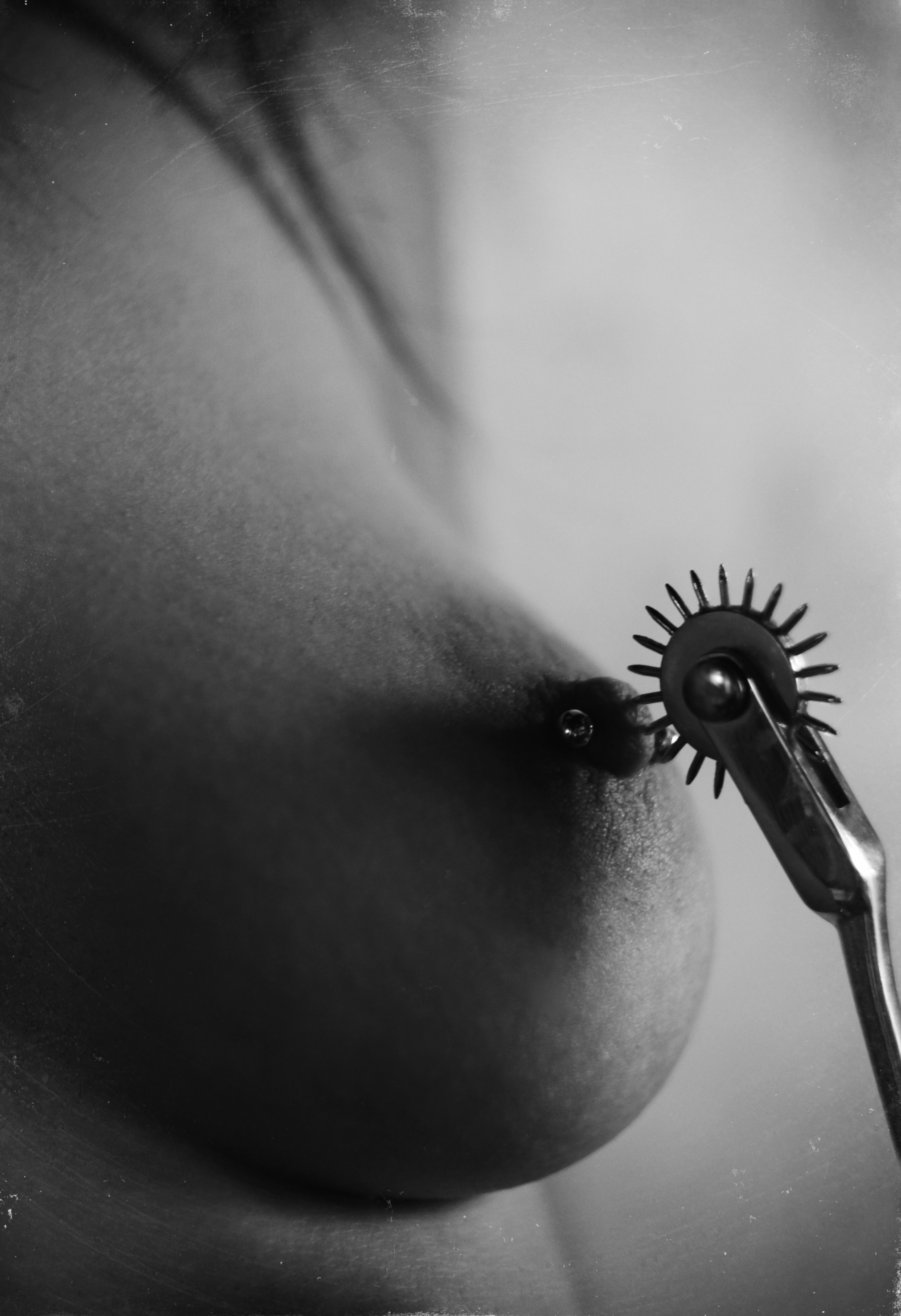Sense Reflexes