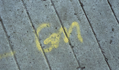 GM No. 6