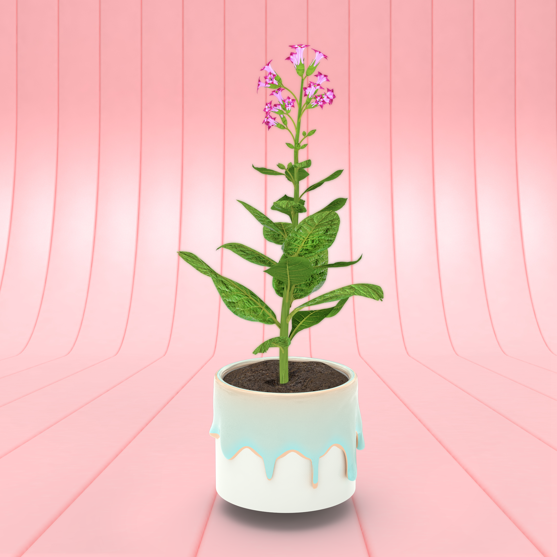 ∆FLORA #514