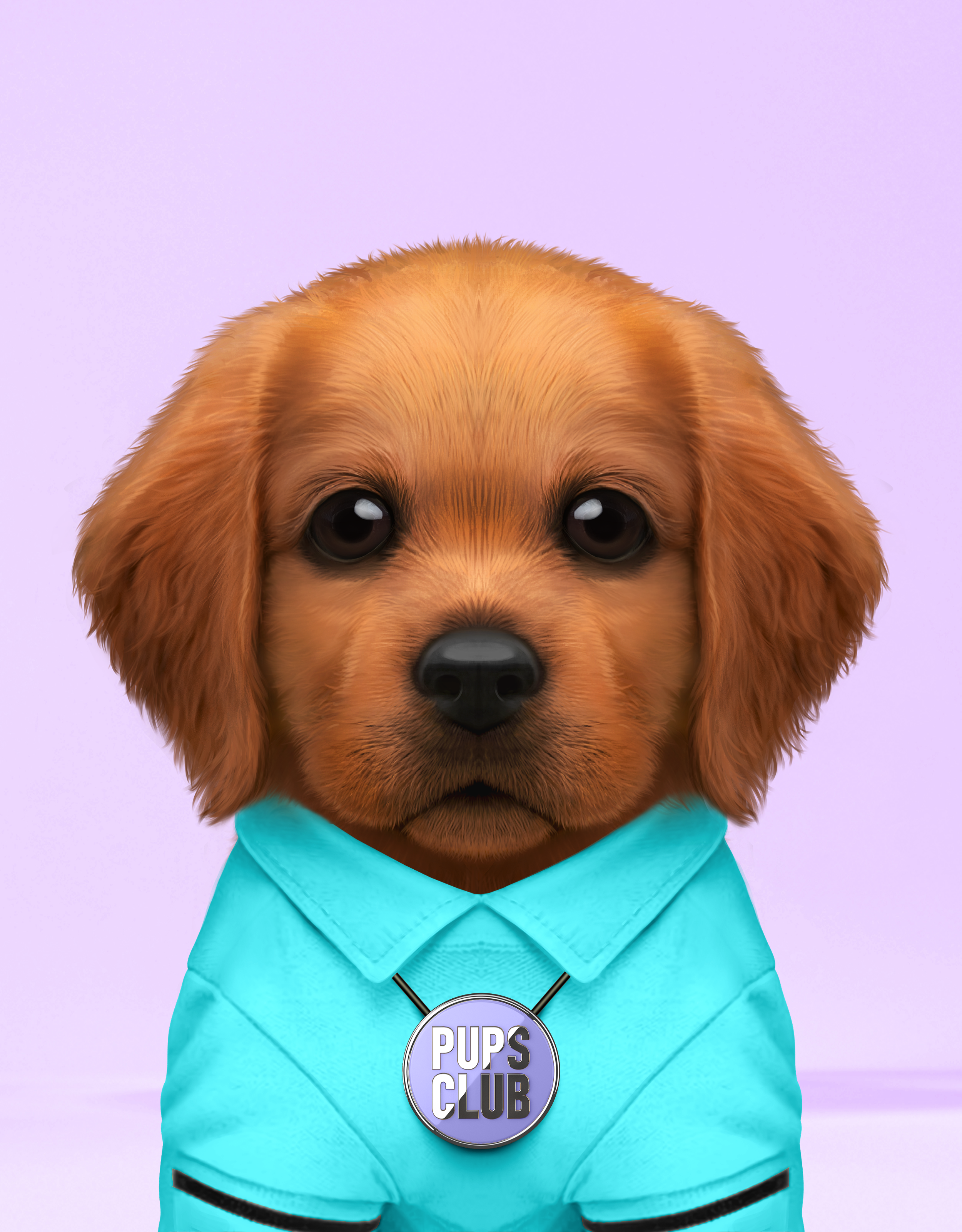 Pup #8364