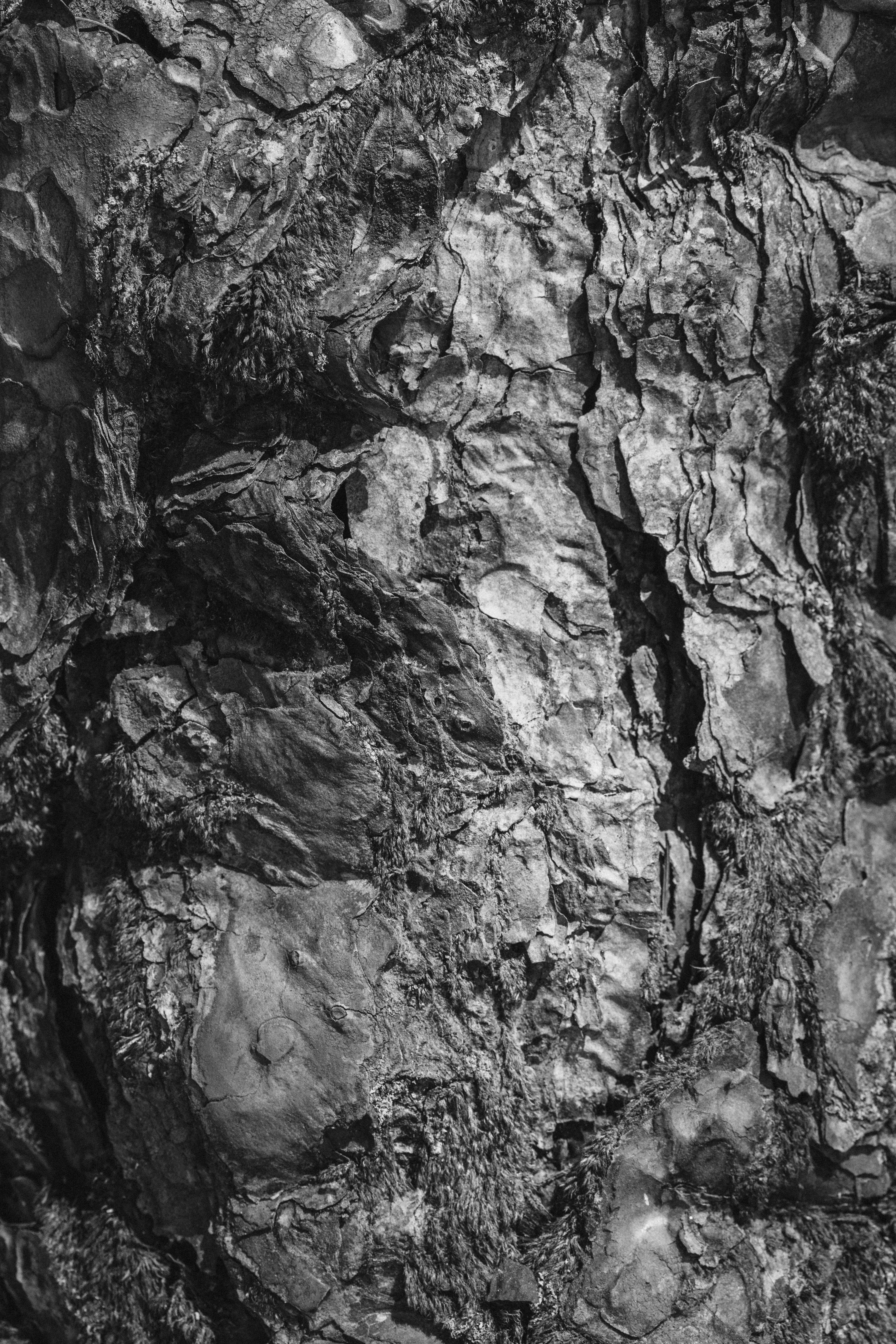 Weathered