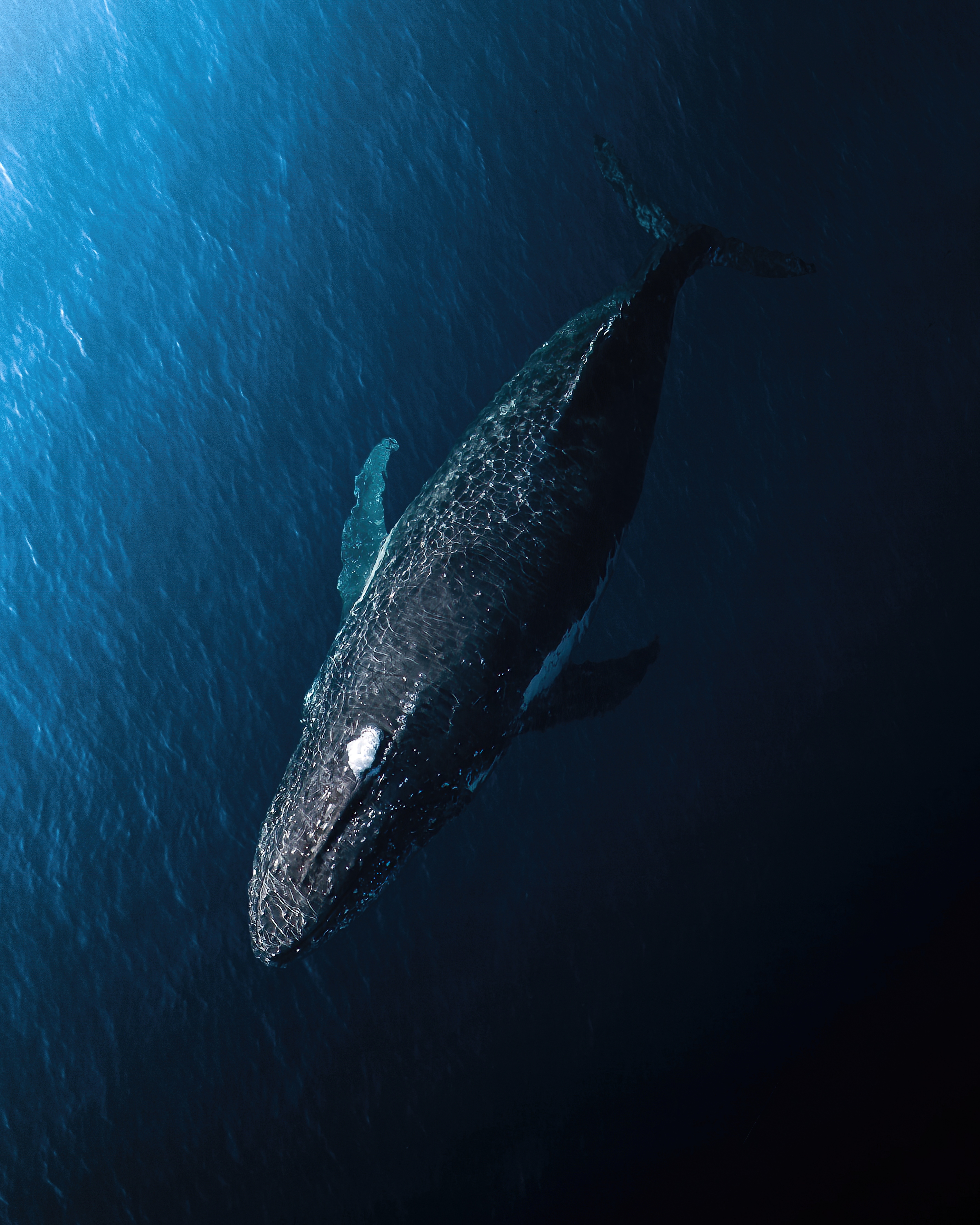 Depths of Earth