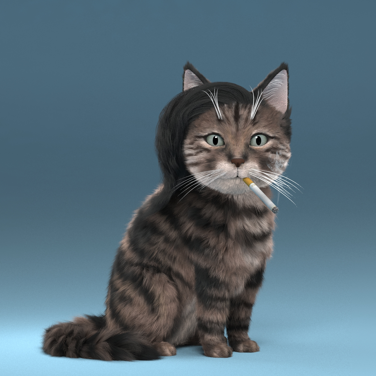 Fluffy PunkCat #2370
