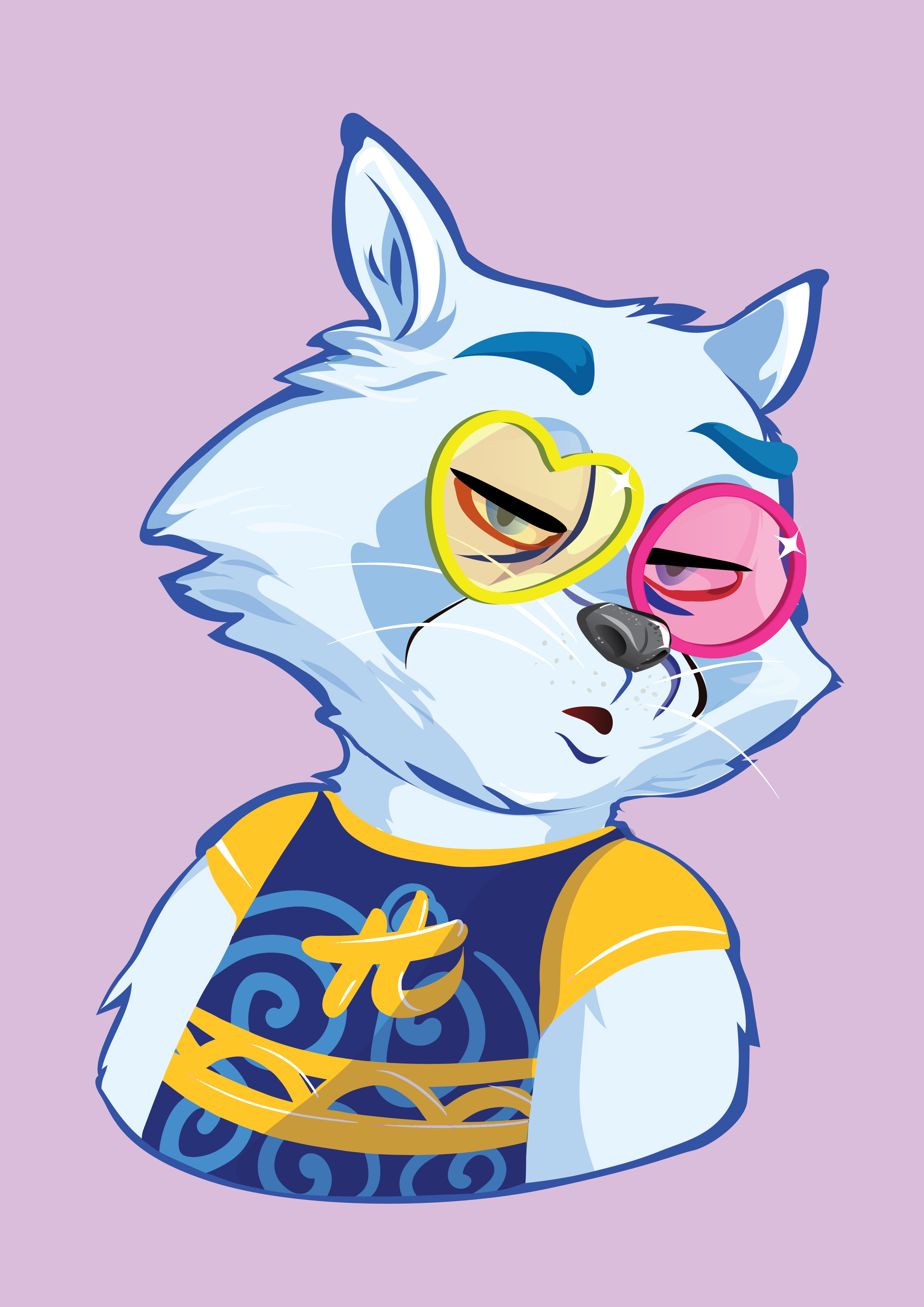 Raccoon-136