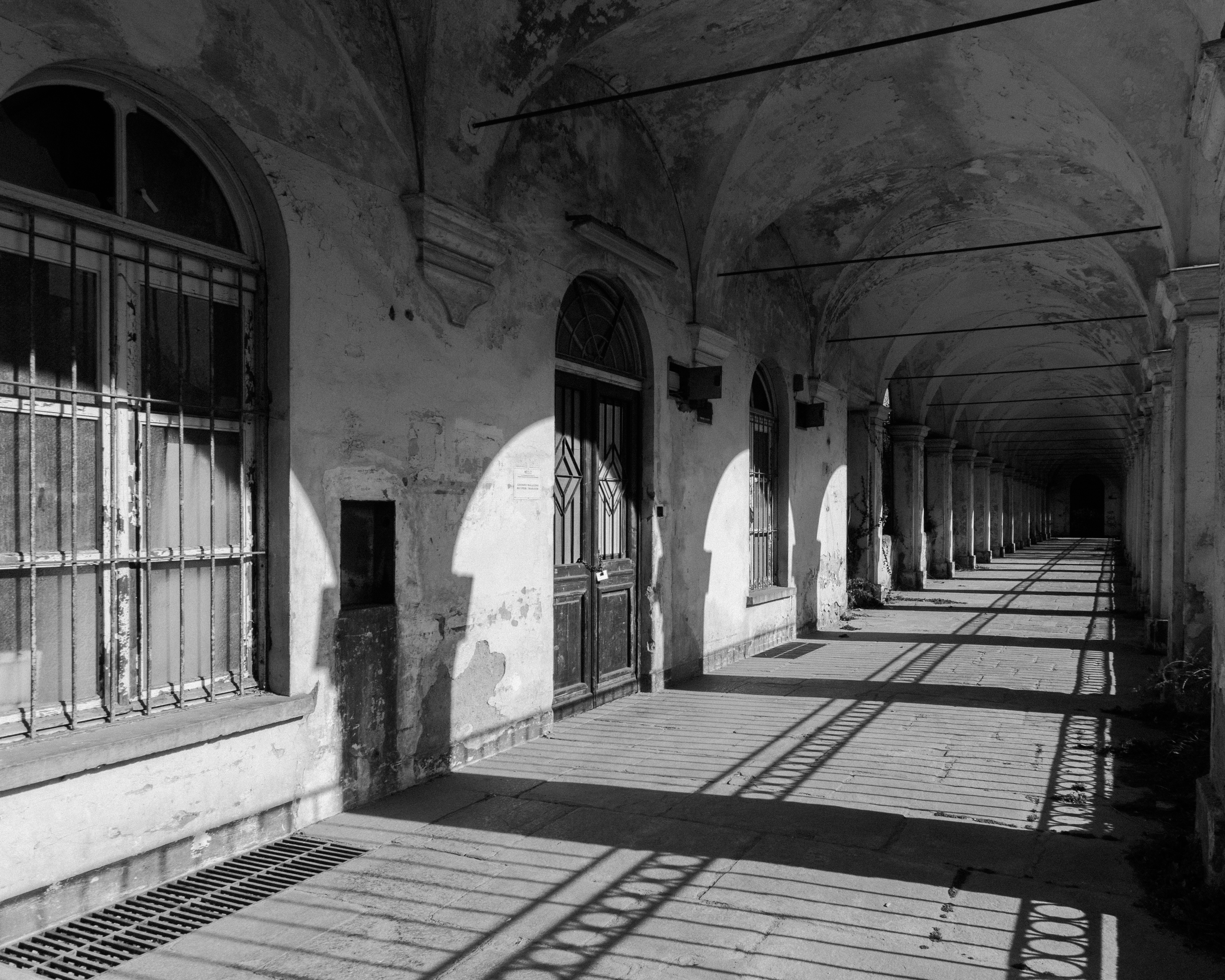 long shadows