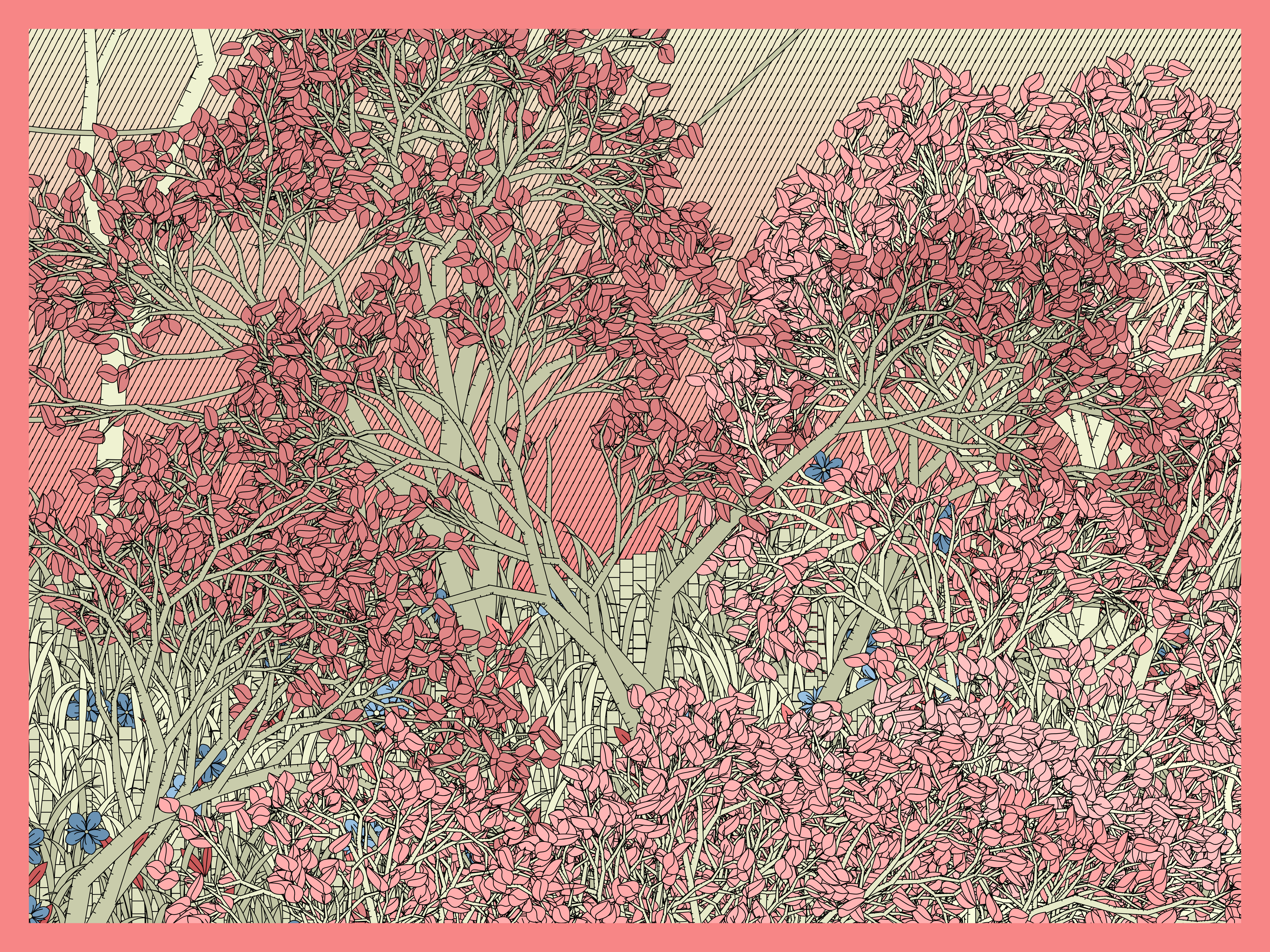 Entangled #61