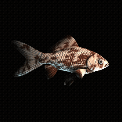 CryptoFish #2420