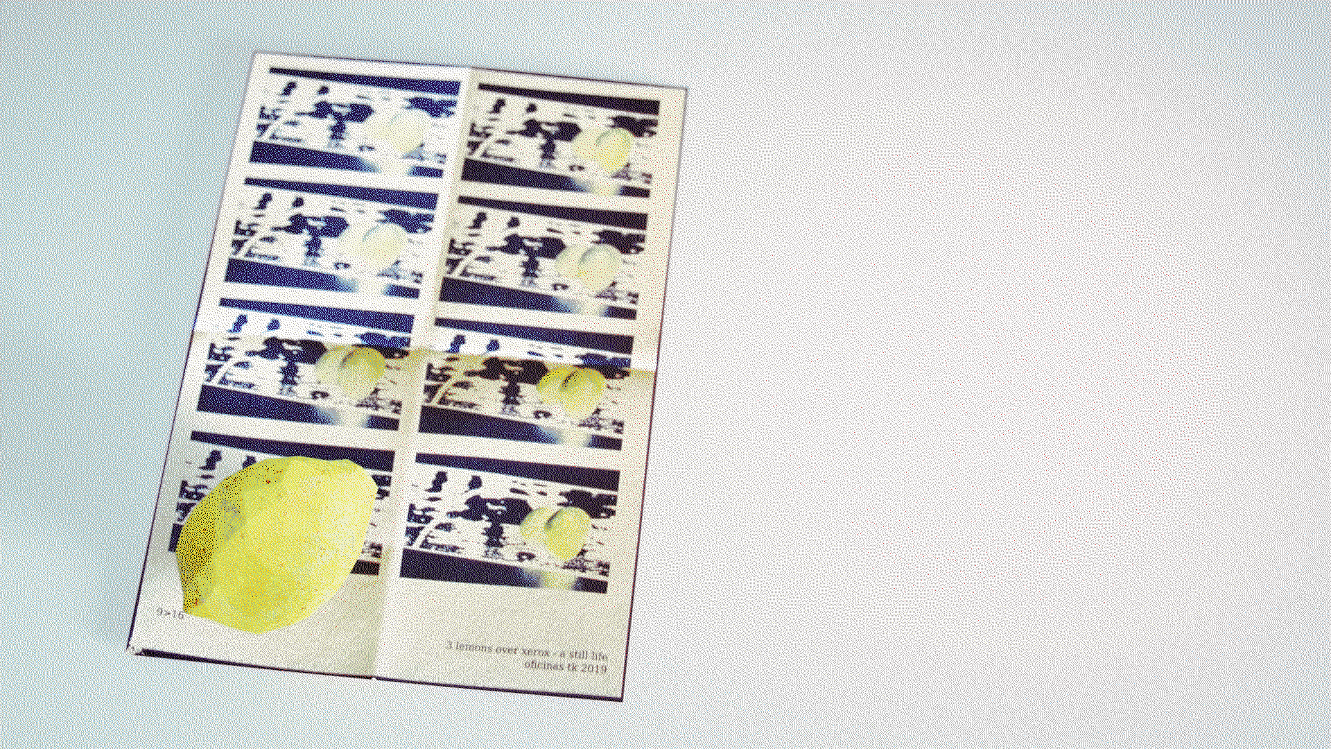 Lemon on Cyanotype Print - still life