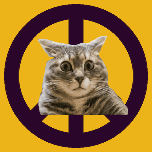 War, peace, and cat #526