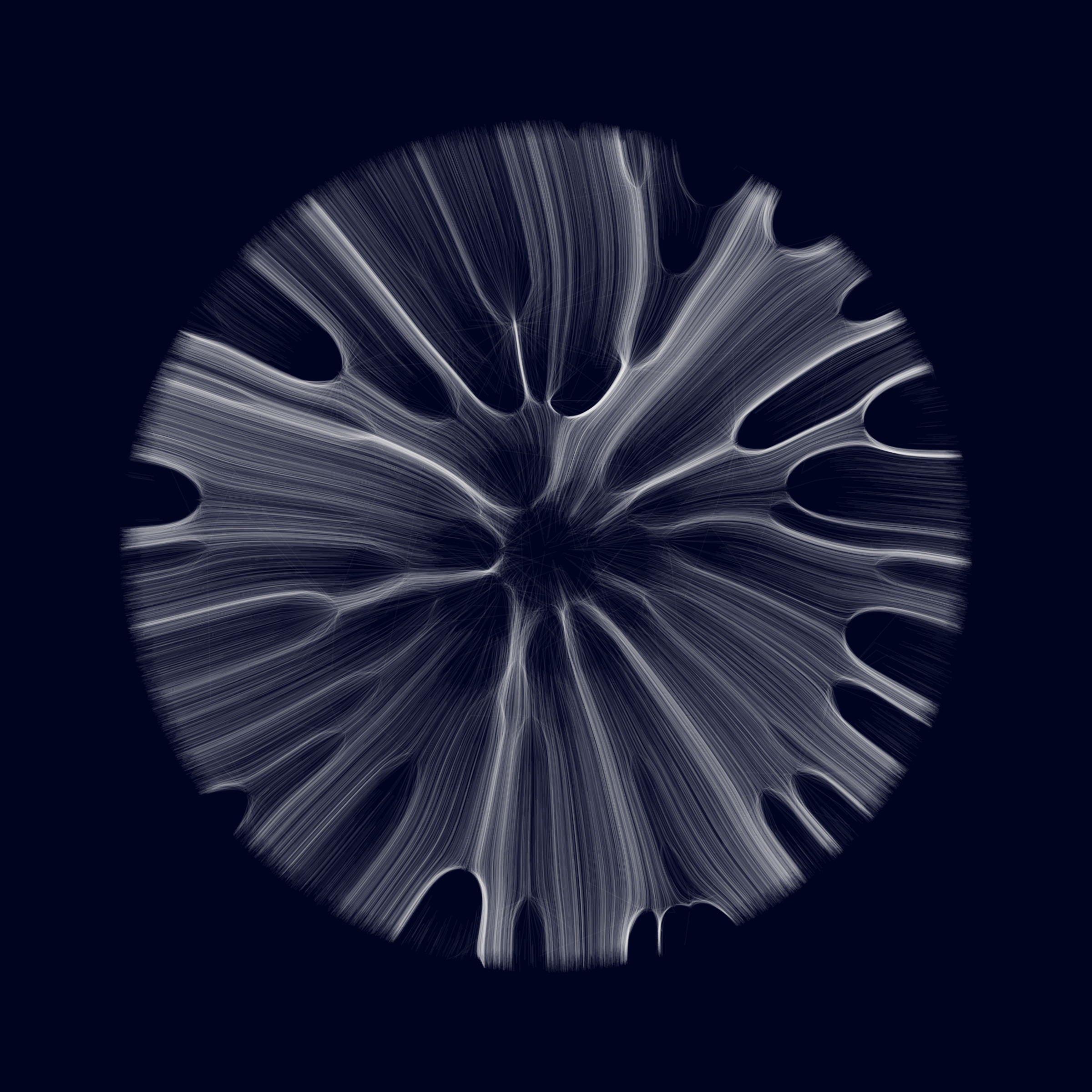 Gravity 12 #31