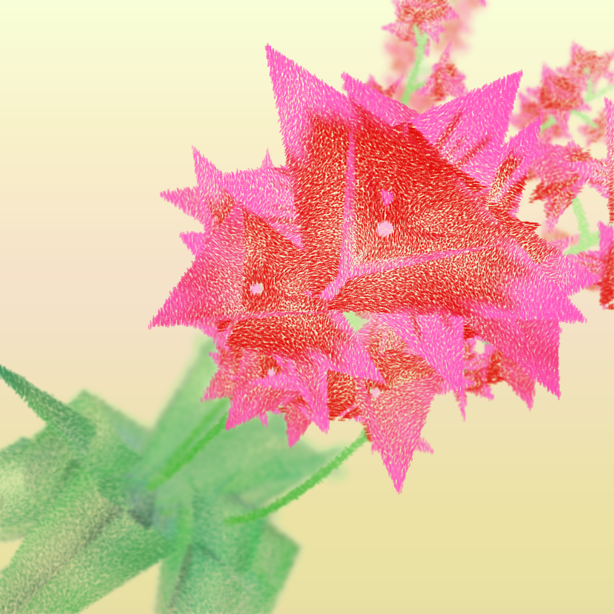 Cattleya #23