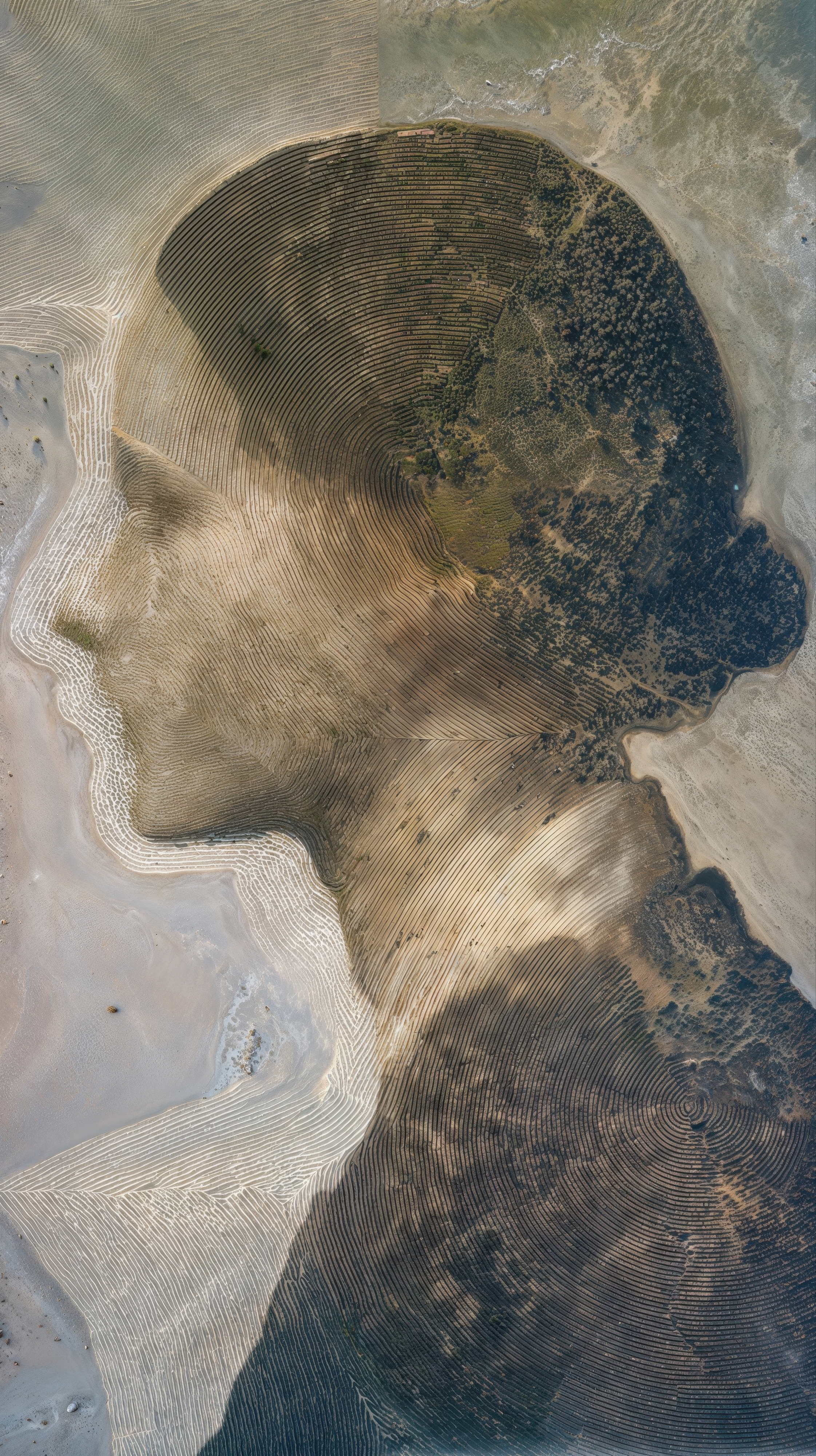 Sleeping Earth