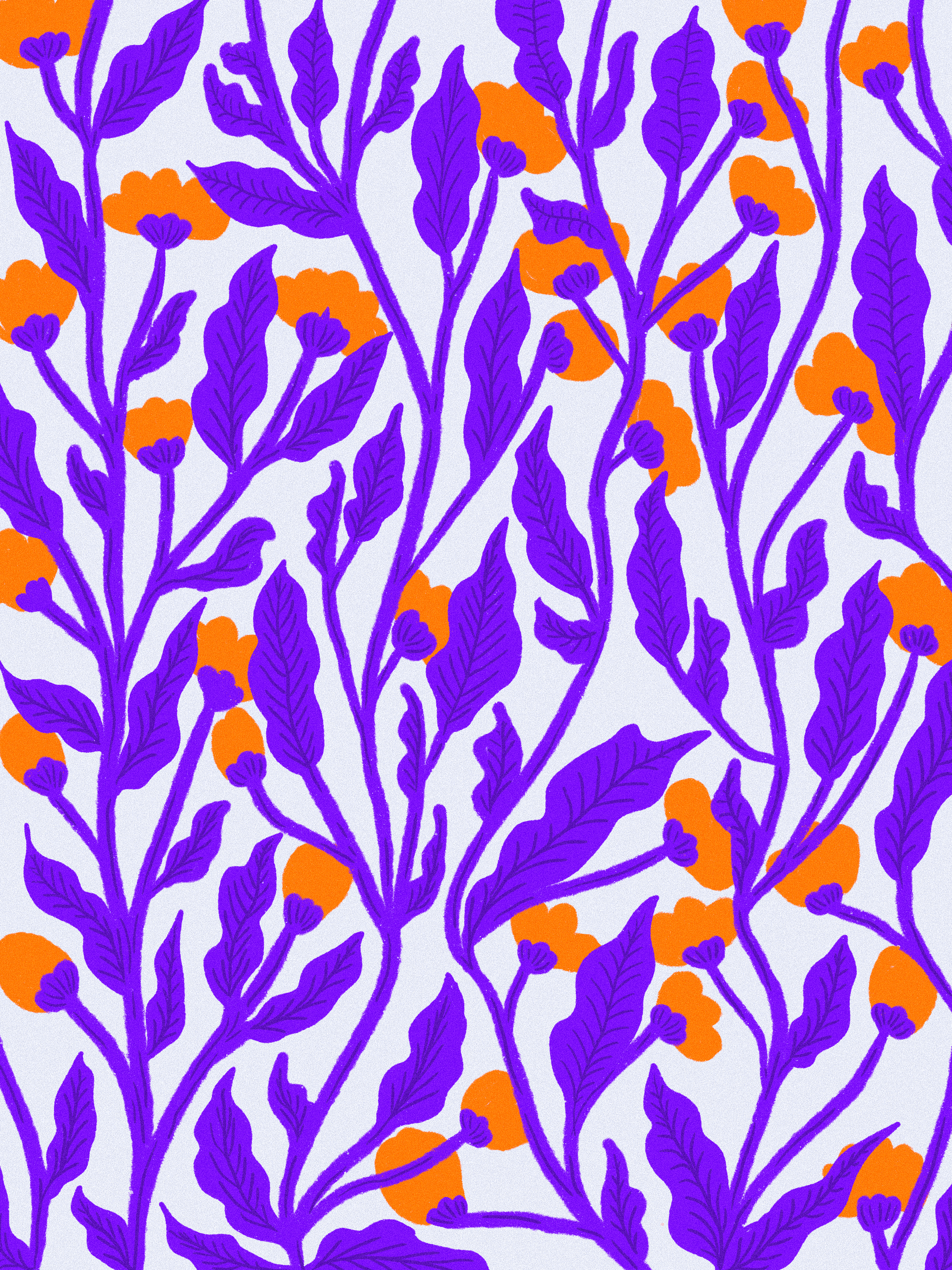 Tonic Hibiscus : Orange 
