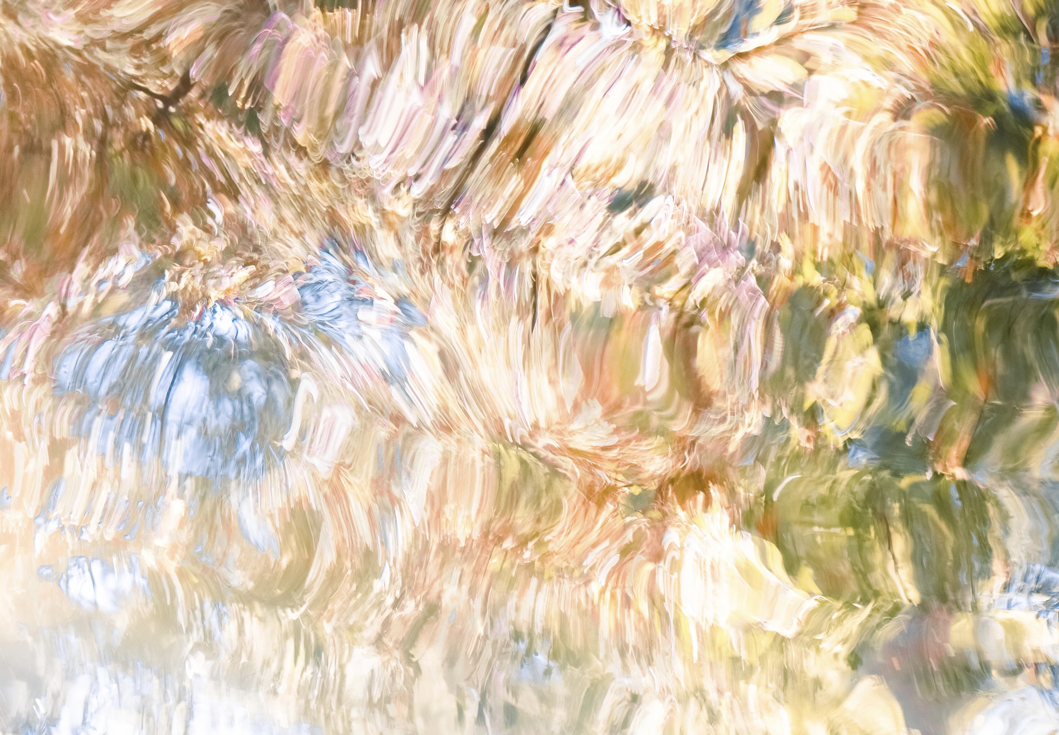 Metamorphosis #3/5