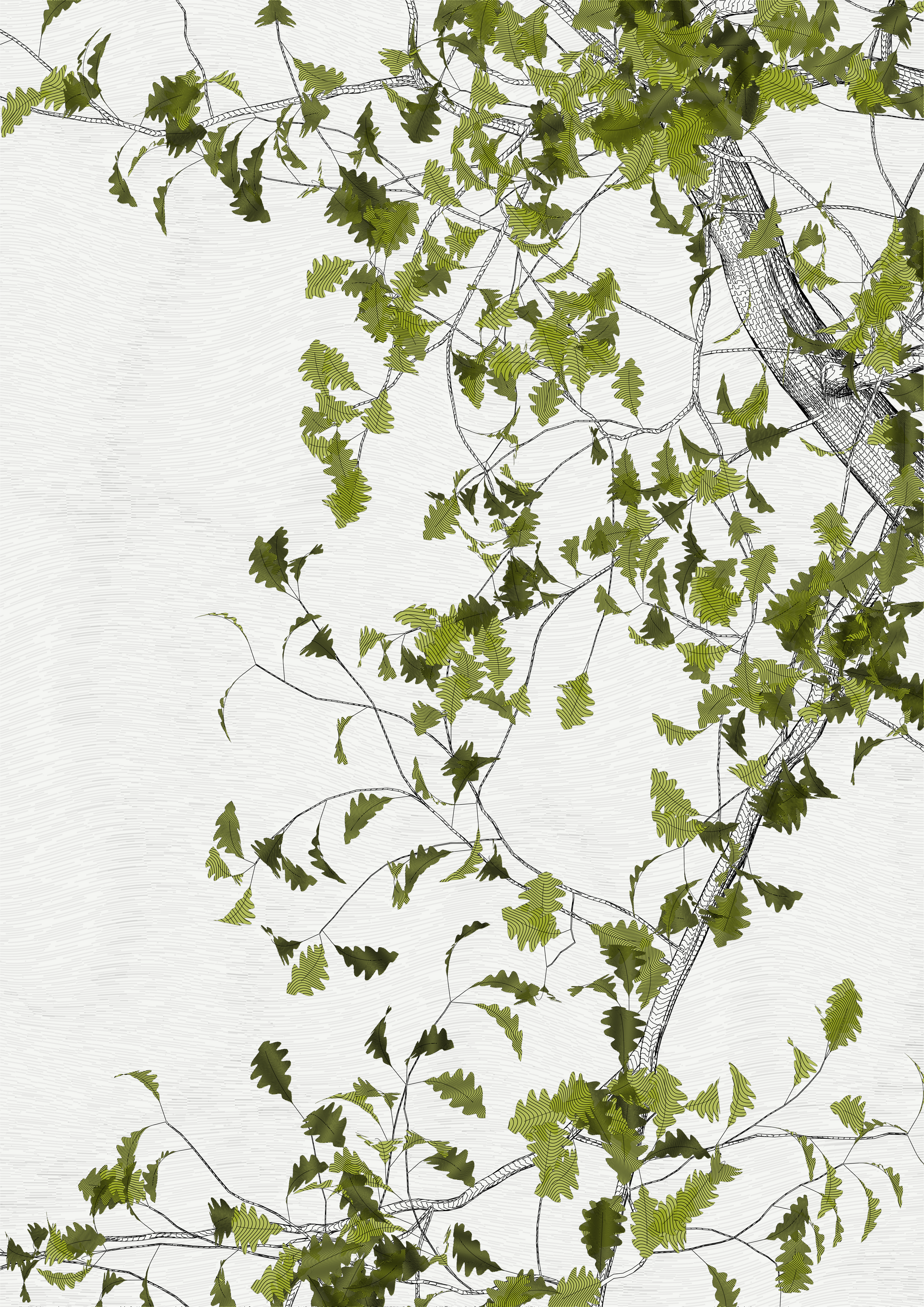 The Oak Tree part #-1,0