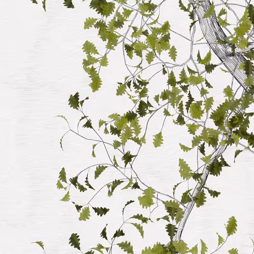 The Oak Tree part #-1,0