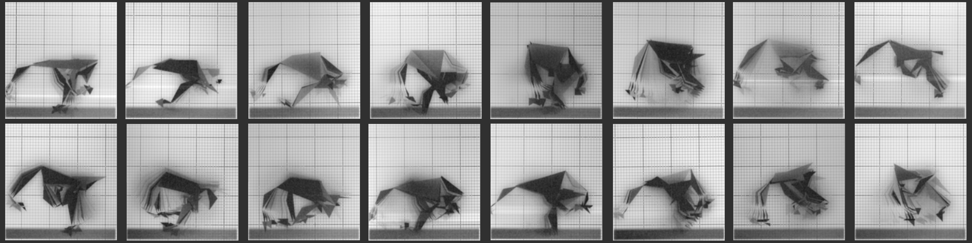 Chronophotograph 156