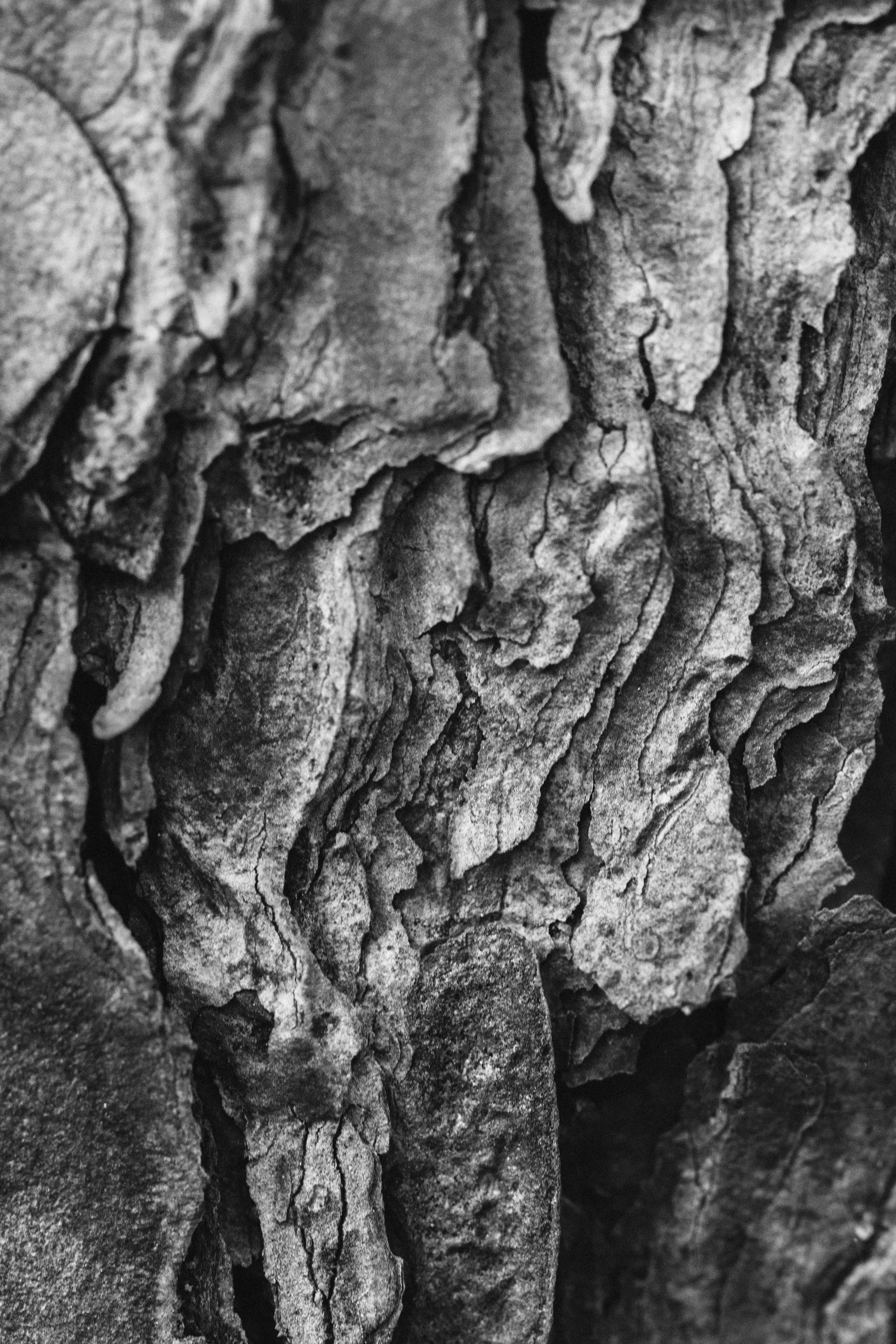 Callouses