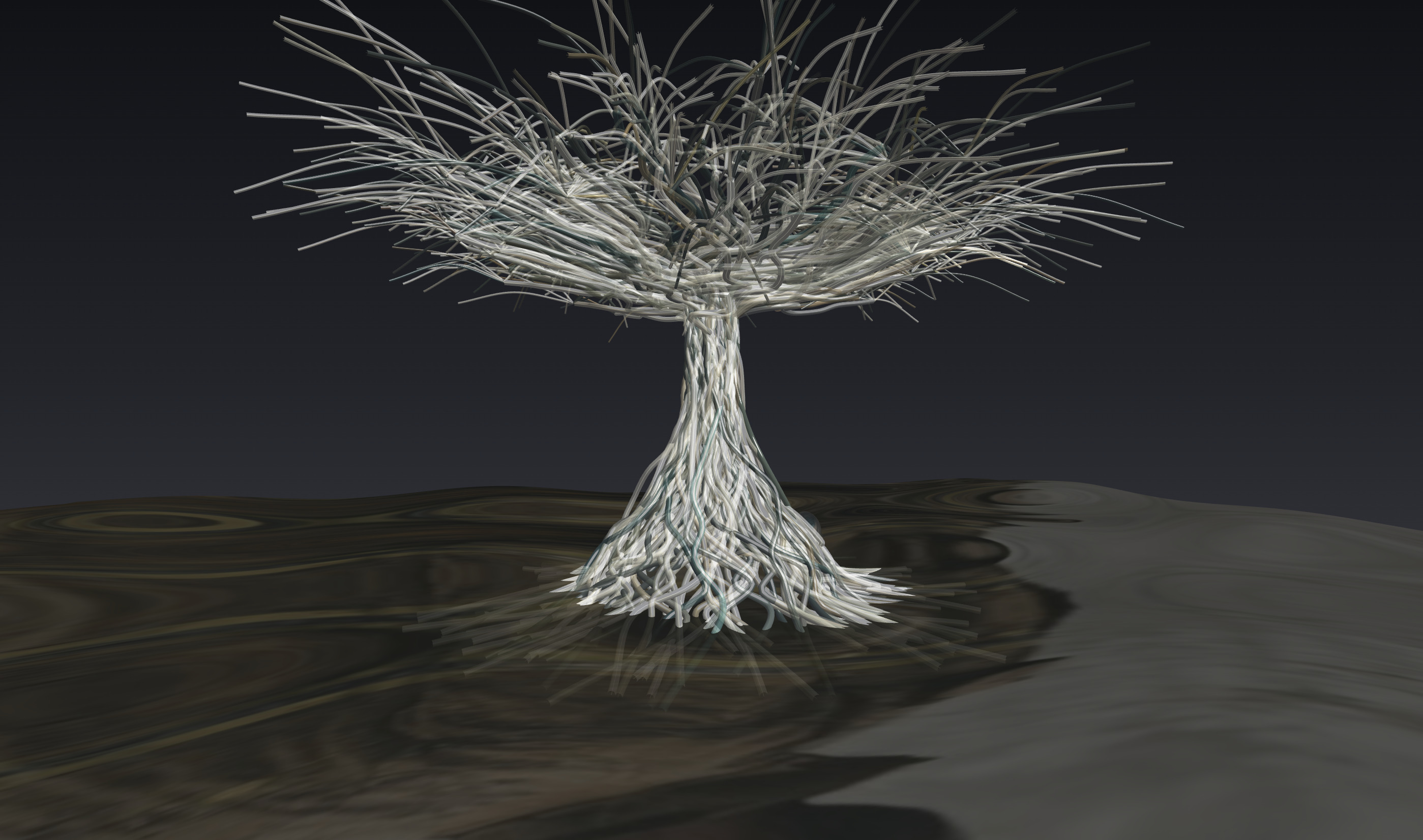 Speculum Viae