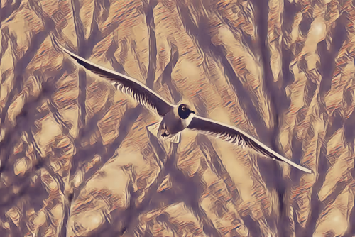 Bird