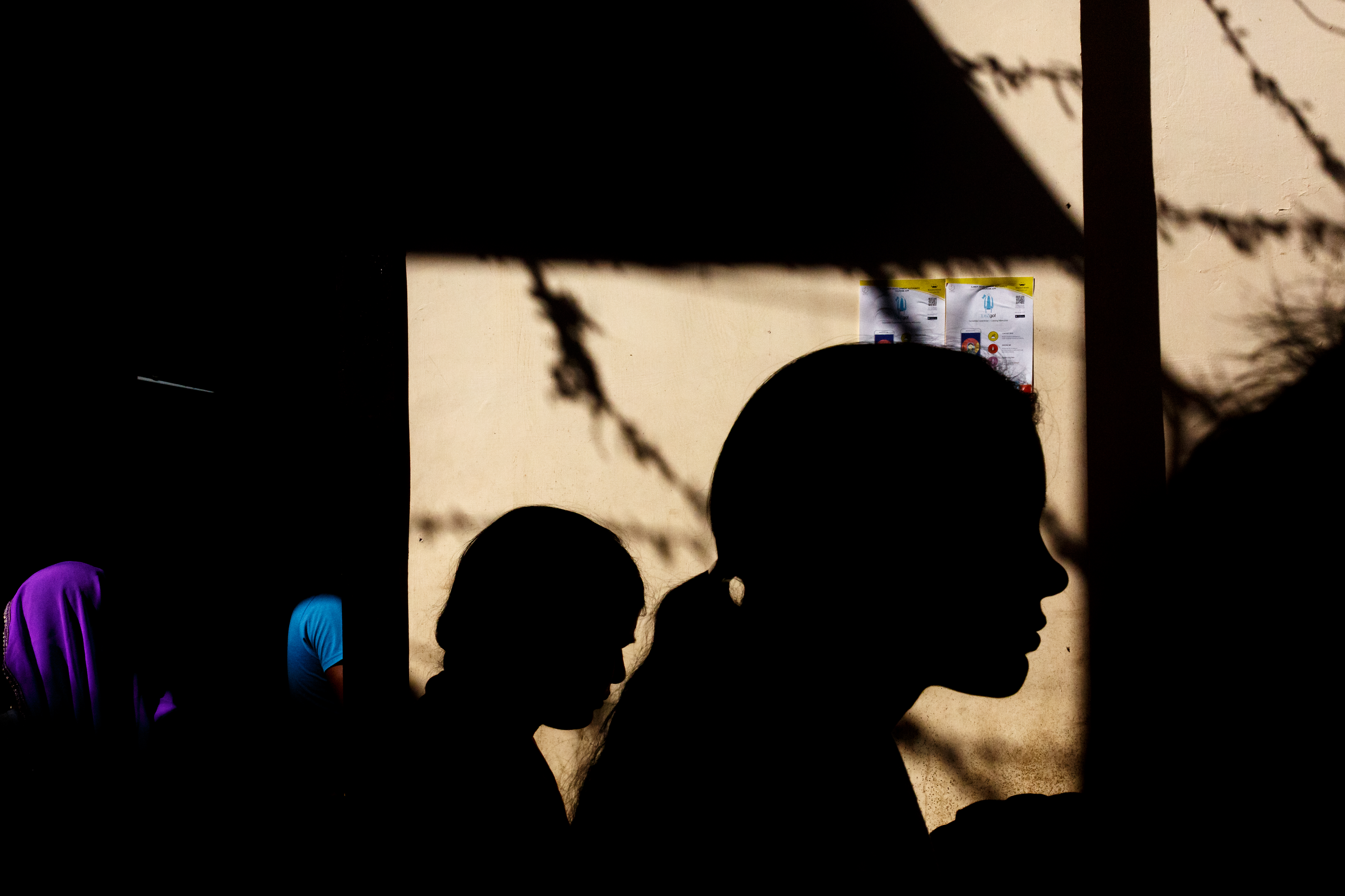 In The Shadows