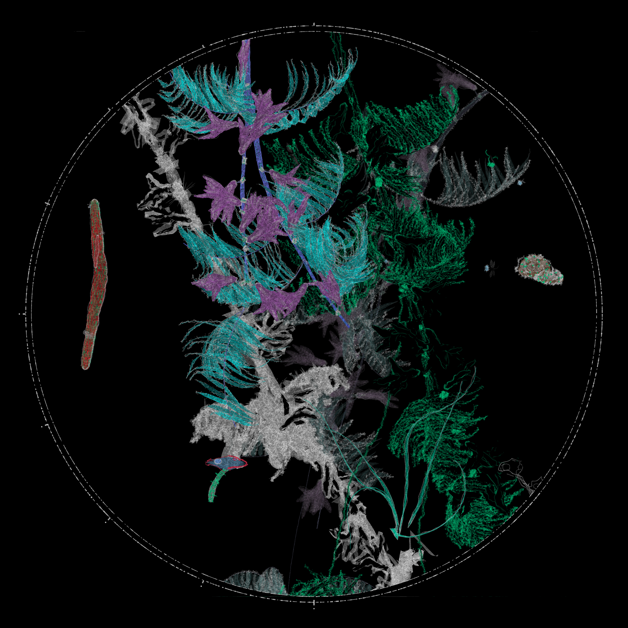 Polypaths | 植徑集 #170