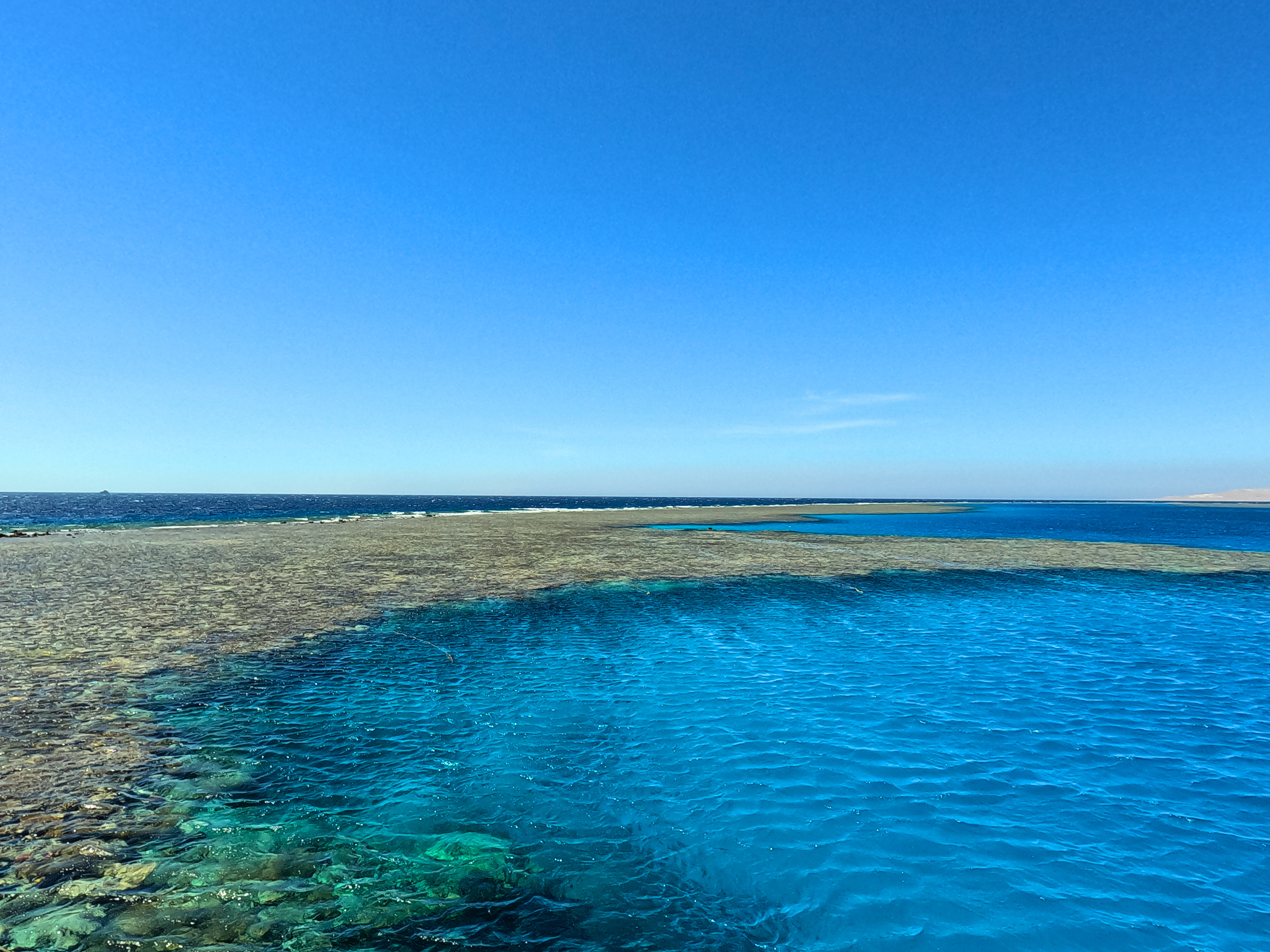 Reef View