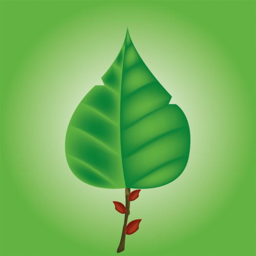 LonelyLeafs #70