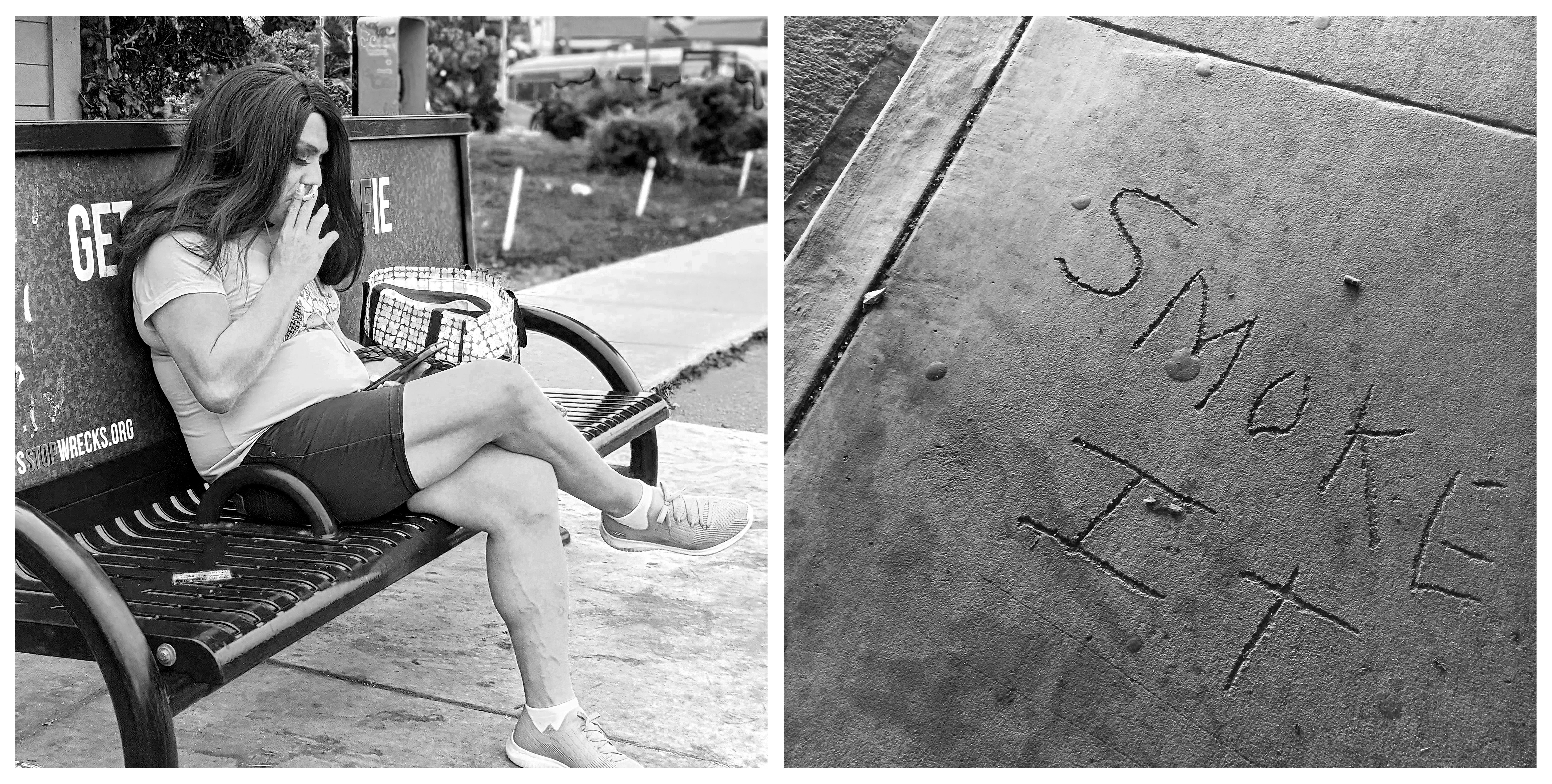 HOLLYWOODLAND #20