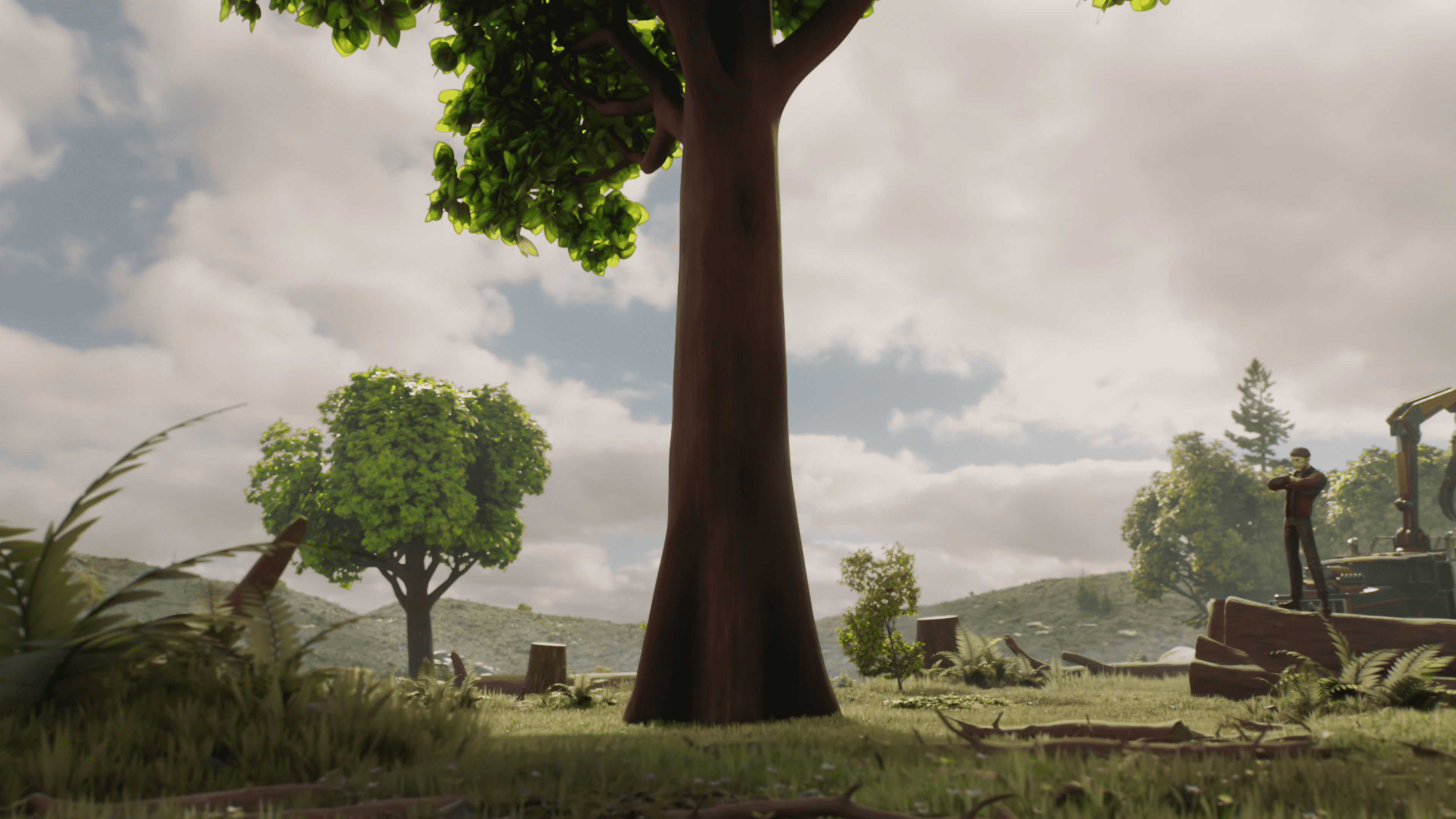 Deforestation #10921