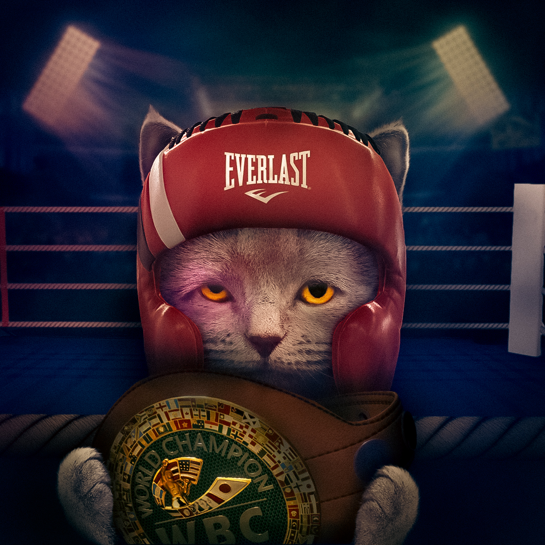 Champion #007