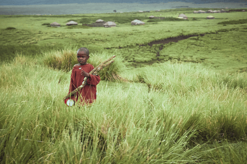 SHOTGUN #12 - Tanzania
