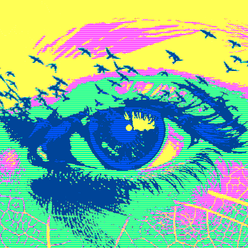 Bird's-eye View