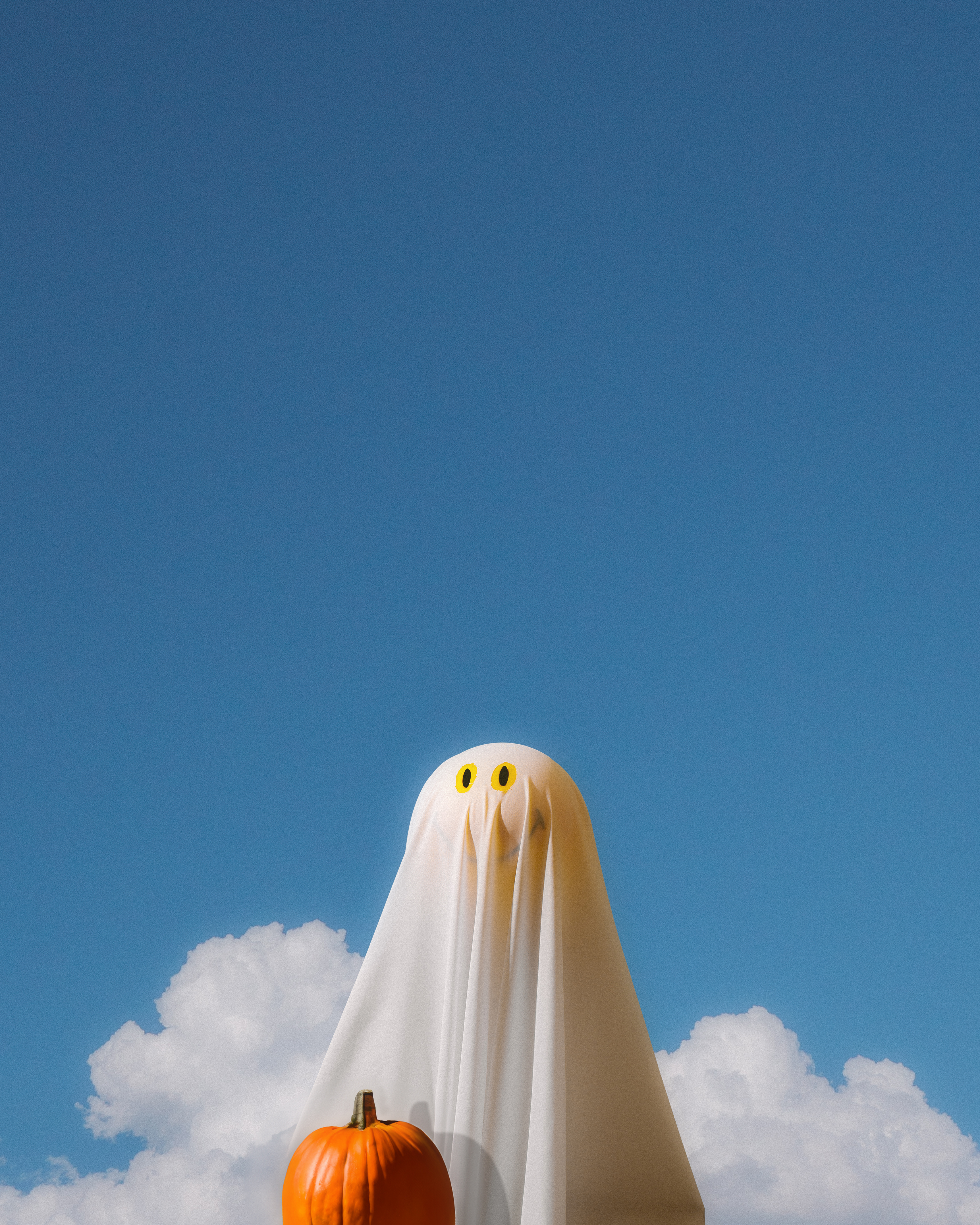 Mr. Boo Sky