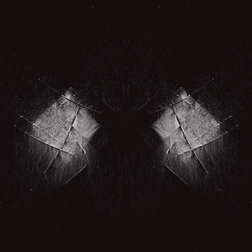 Amerkle #235