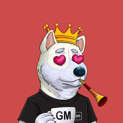 Shibe #463