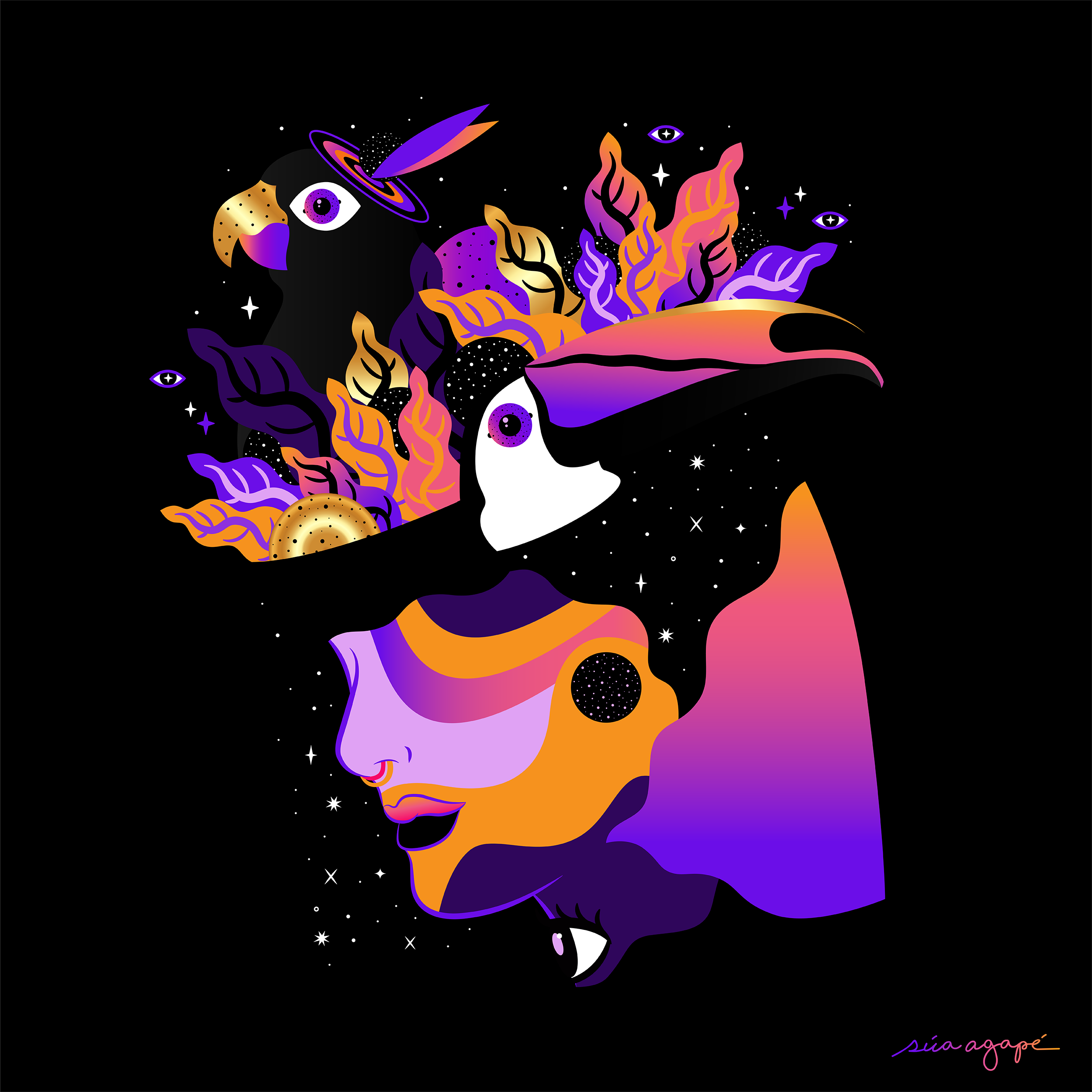 ✦ Tropical Night