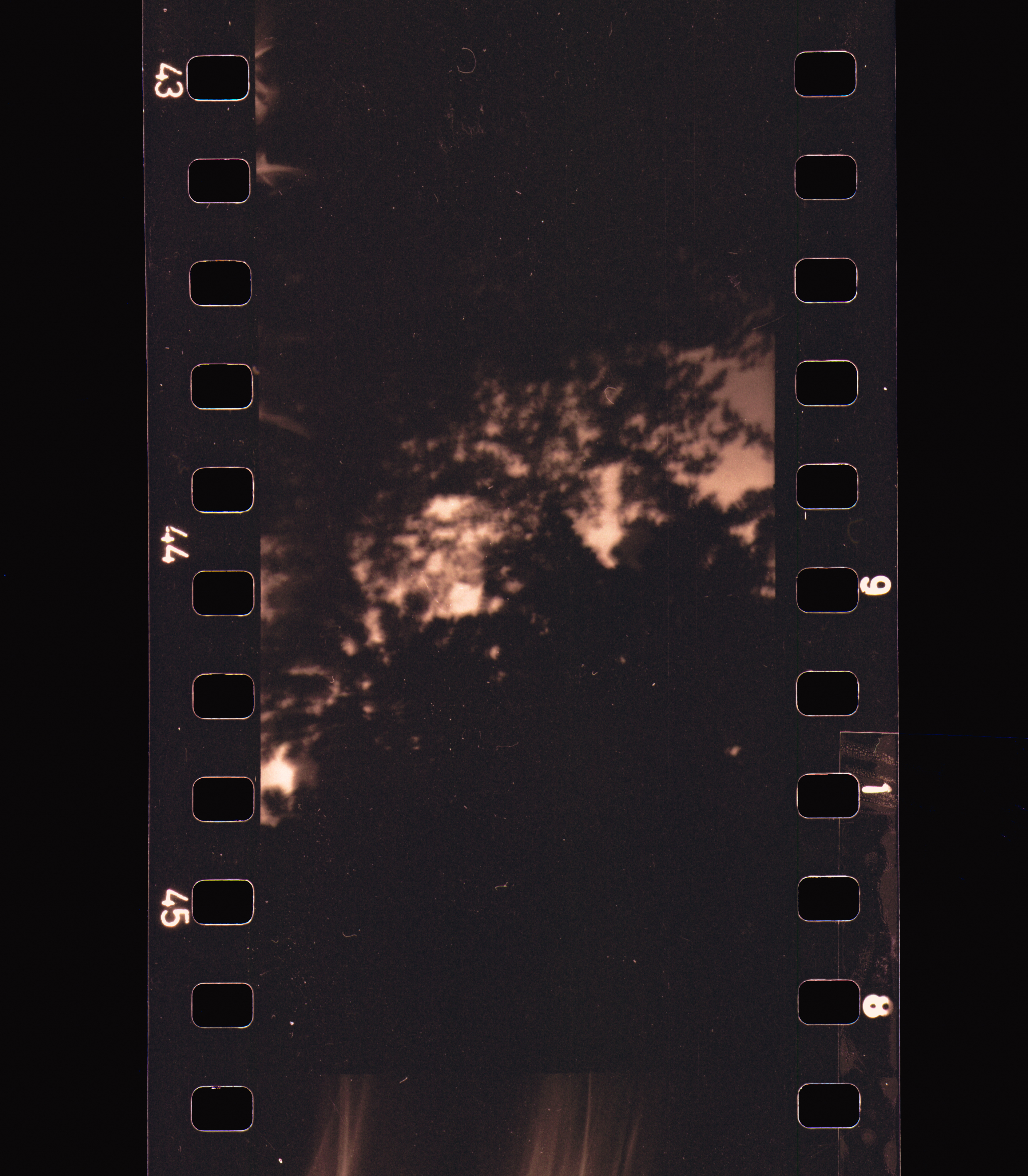 Kodachrome #465